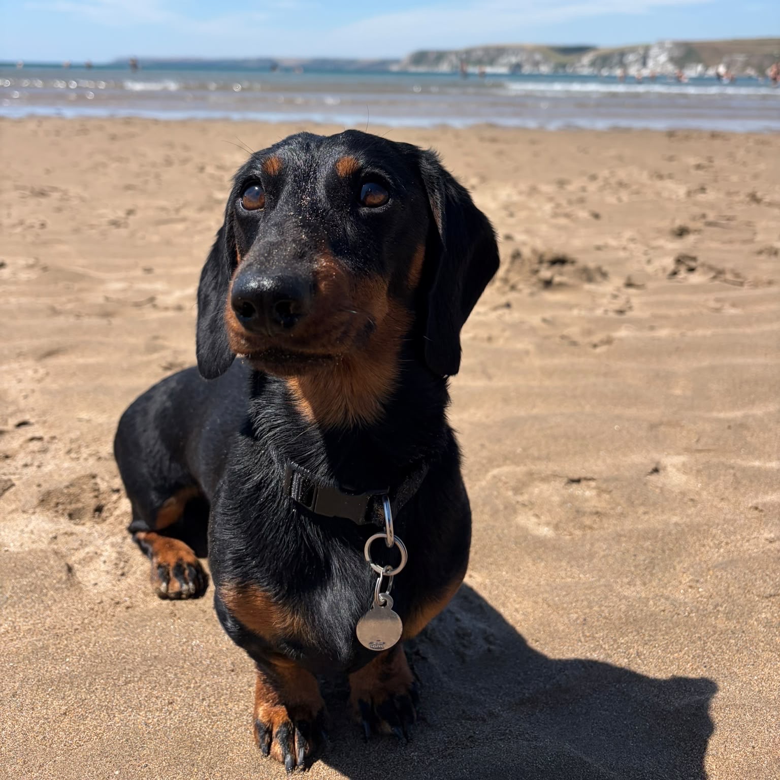 Otis