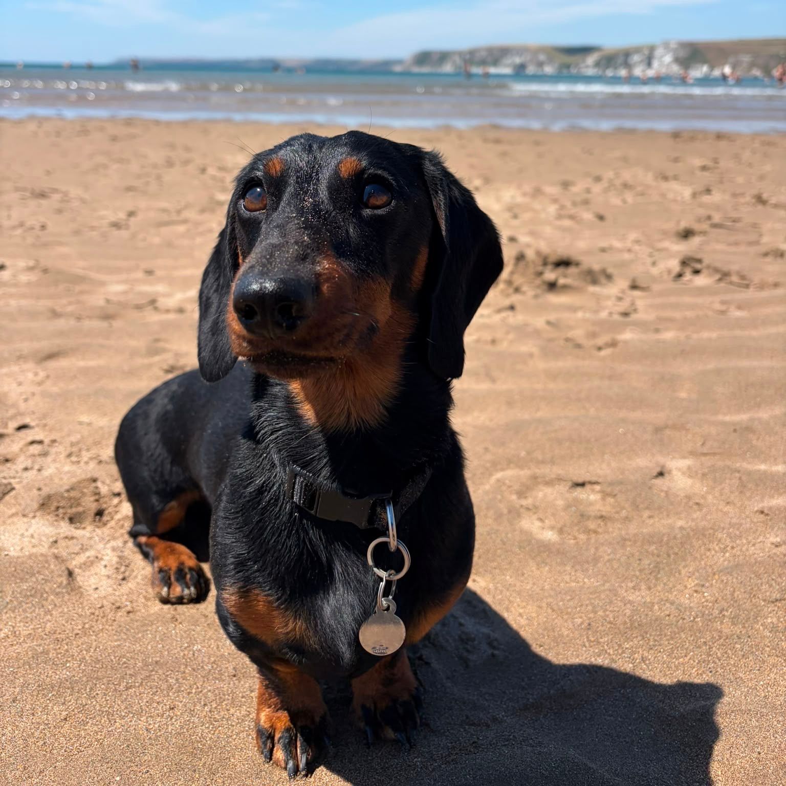 Otis