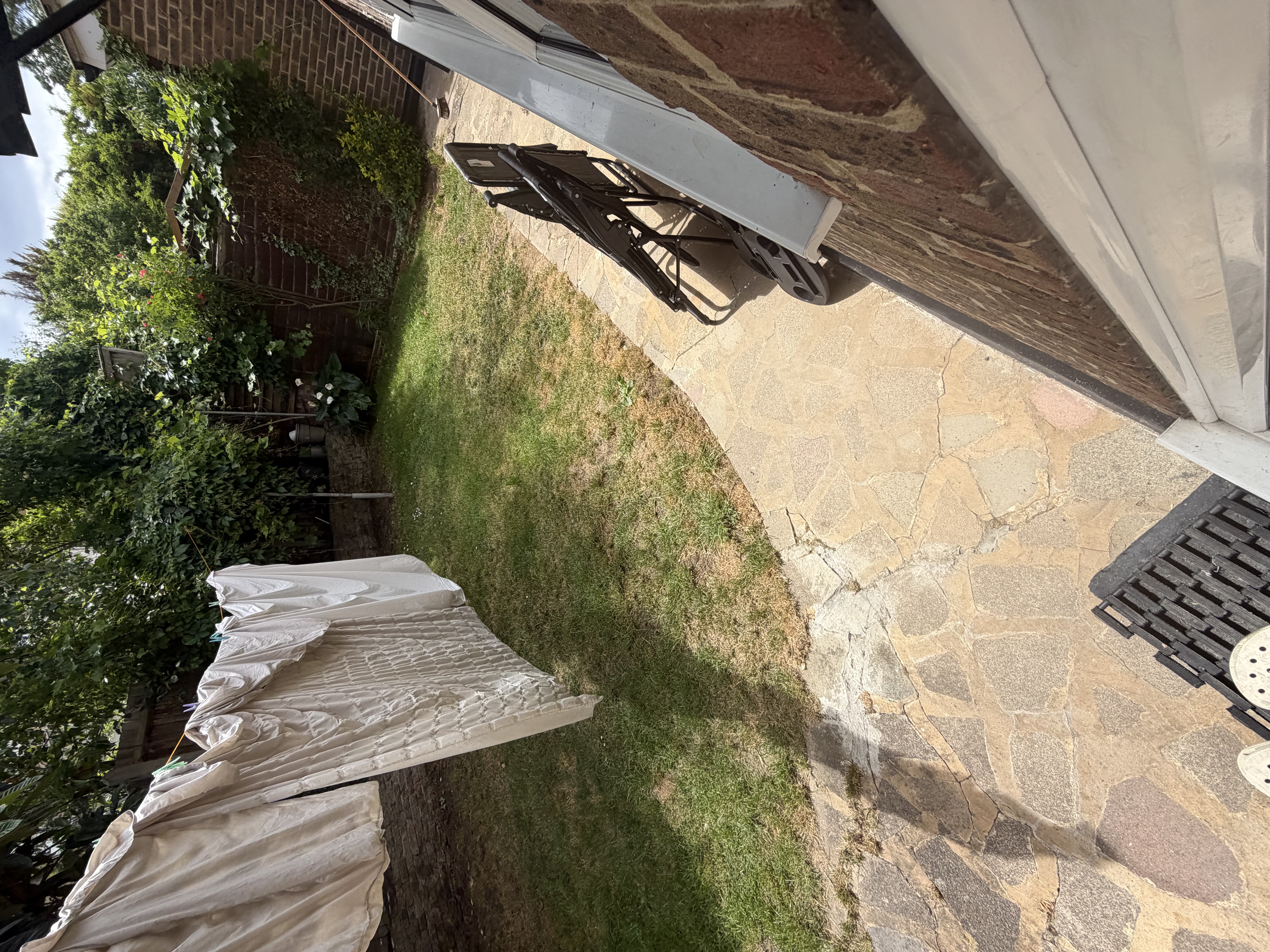 image-18