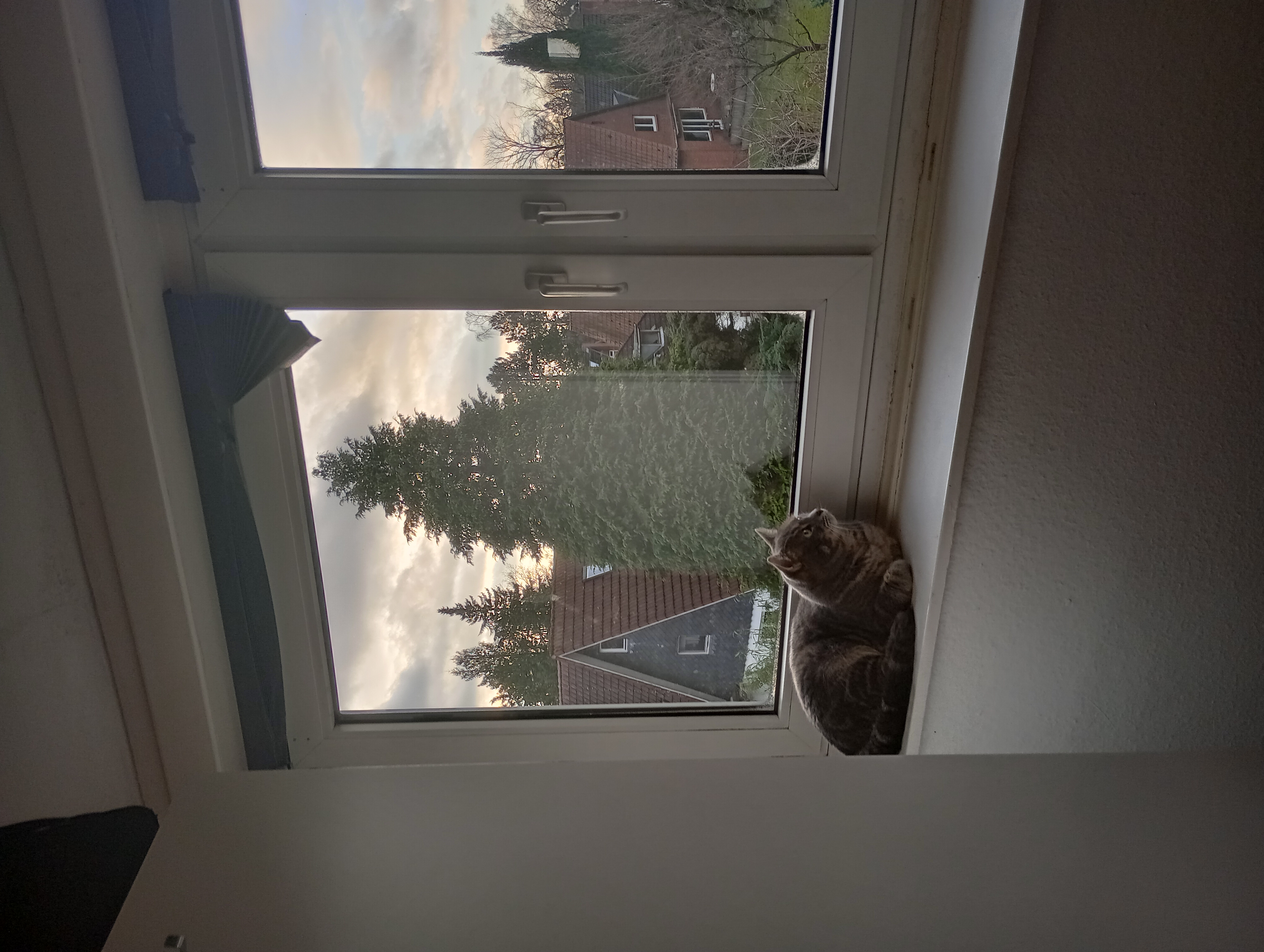 image-11