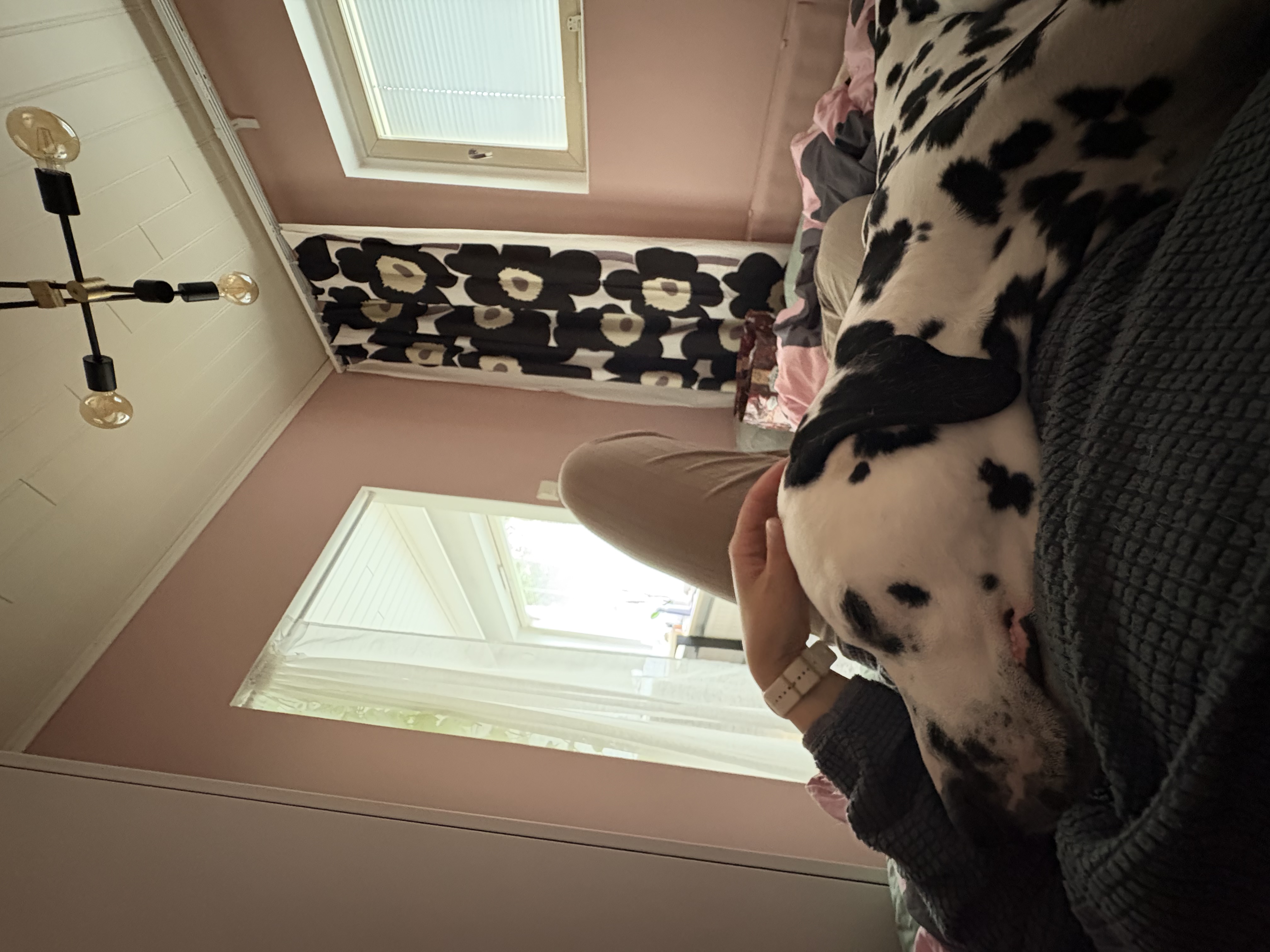 image-9