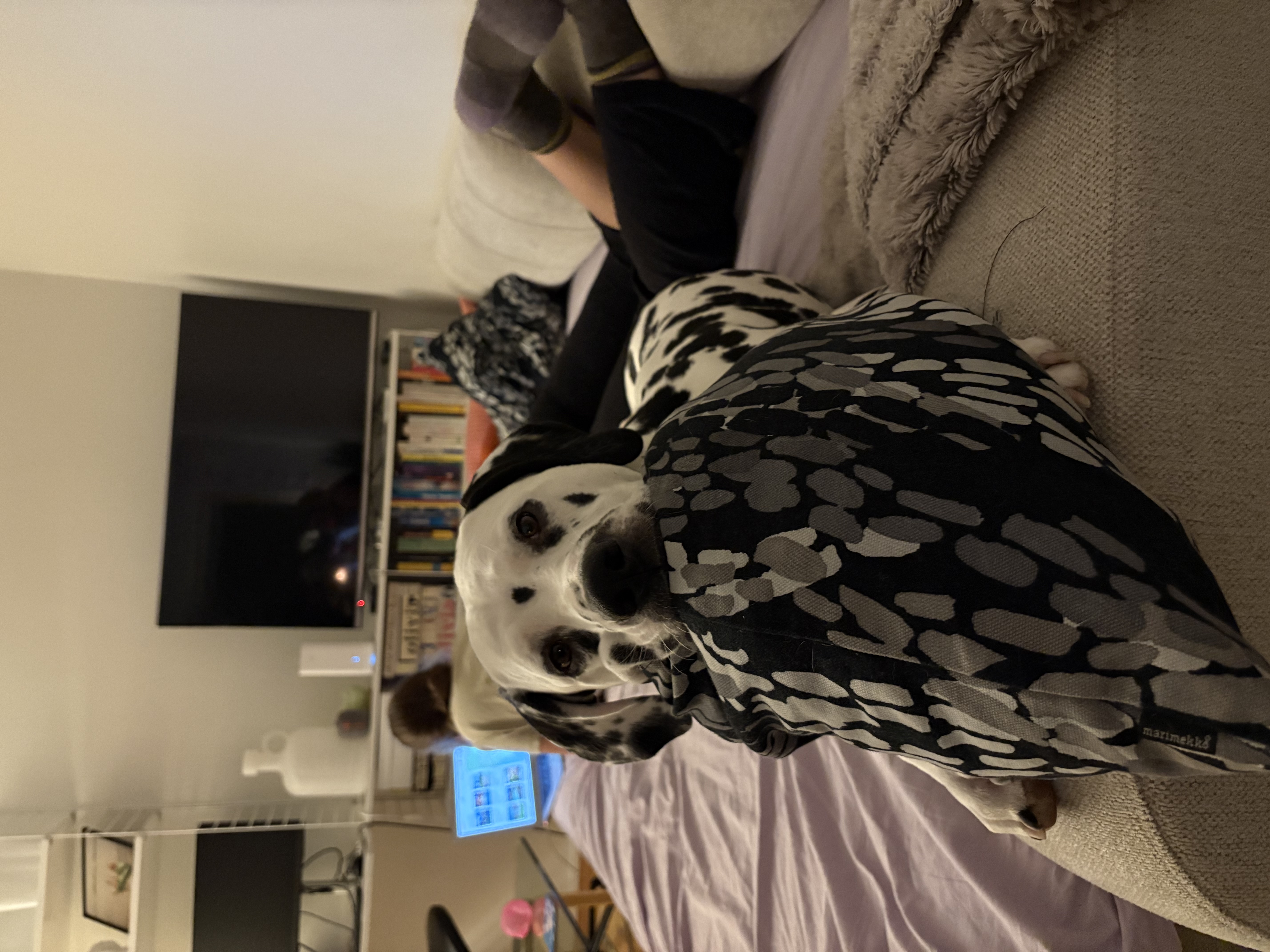 image-6