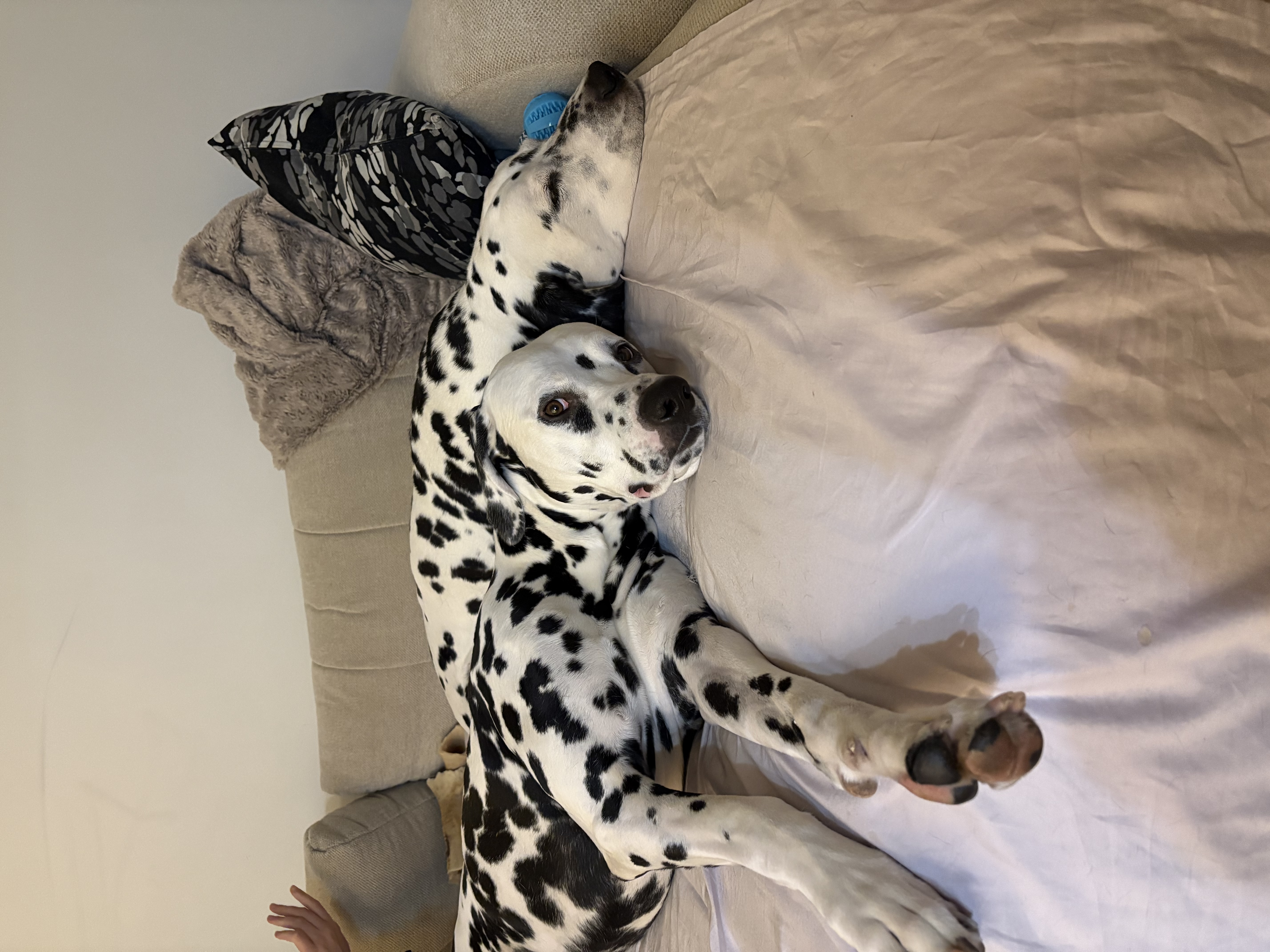 image-10