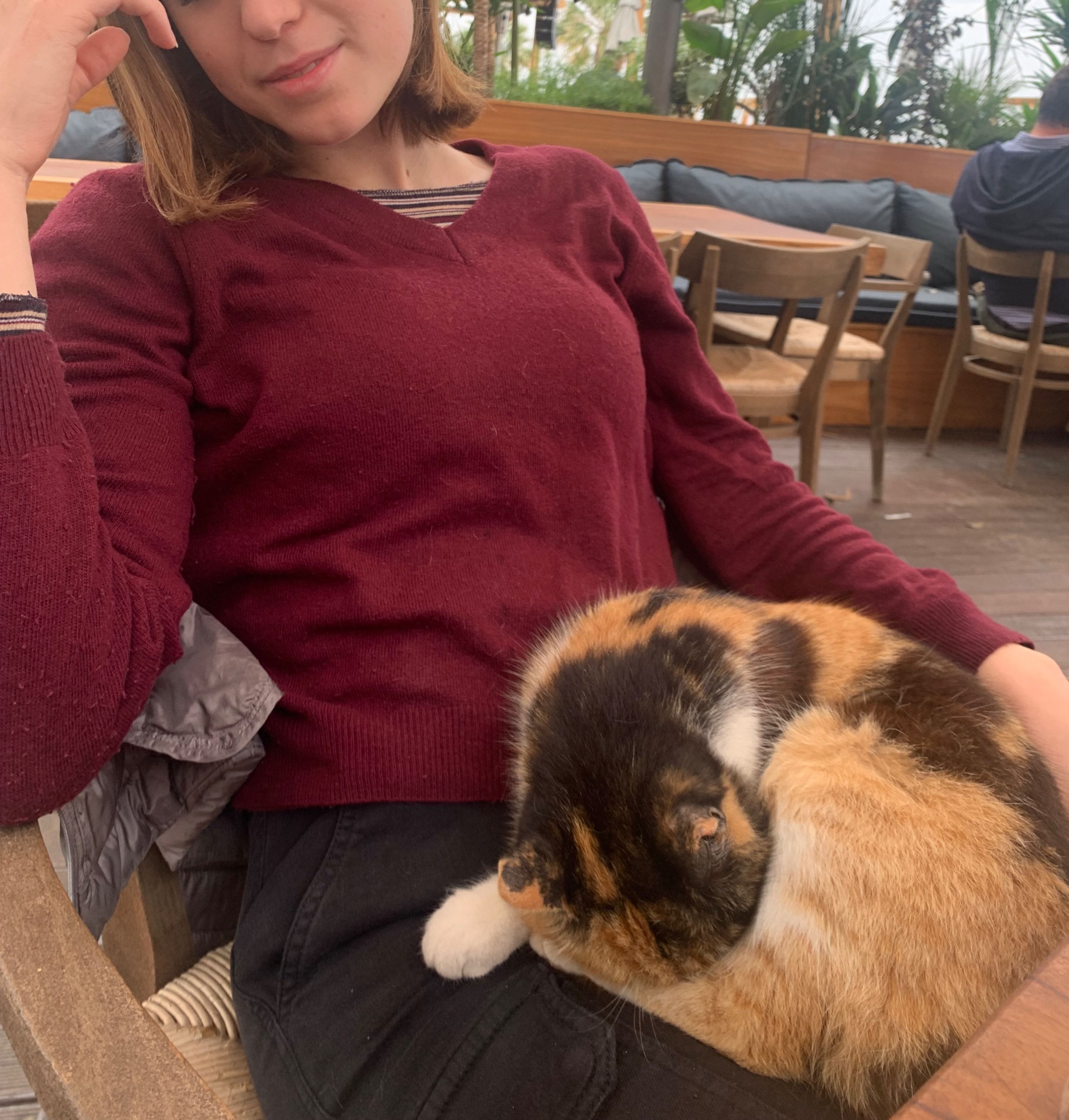 image-10