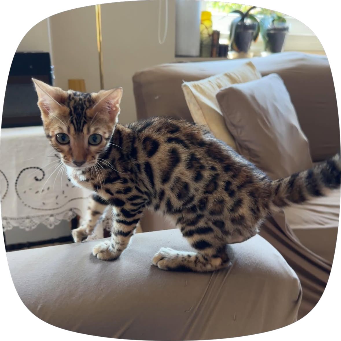 Pixel