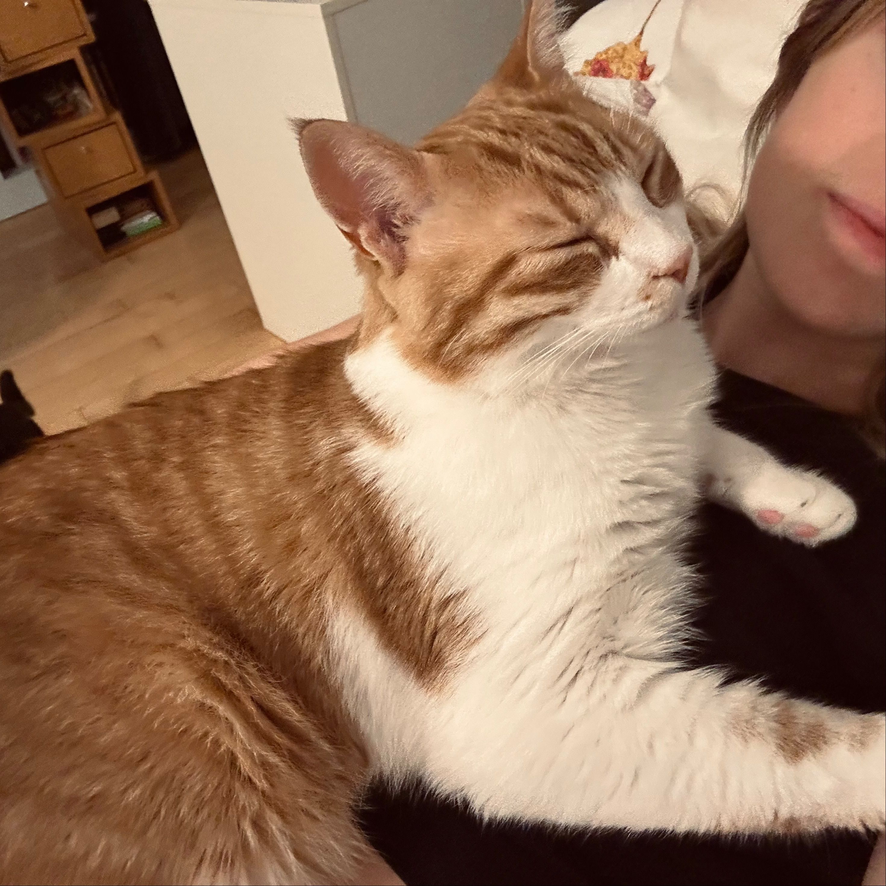 Charlie