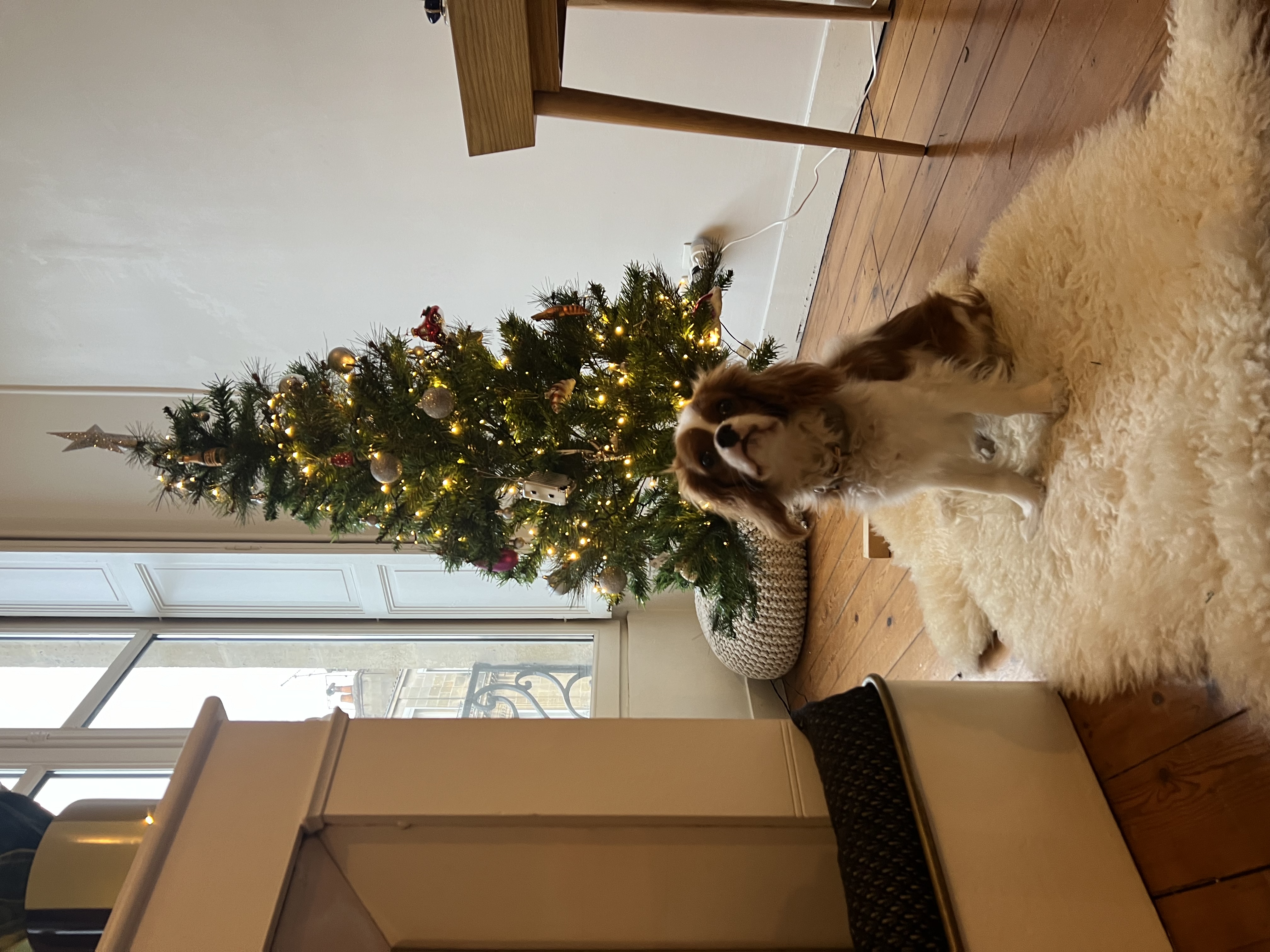 image-4