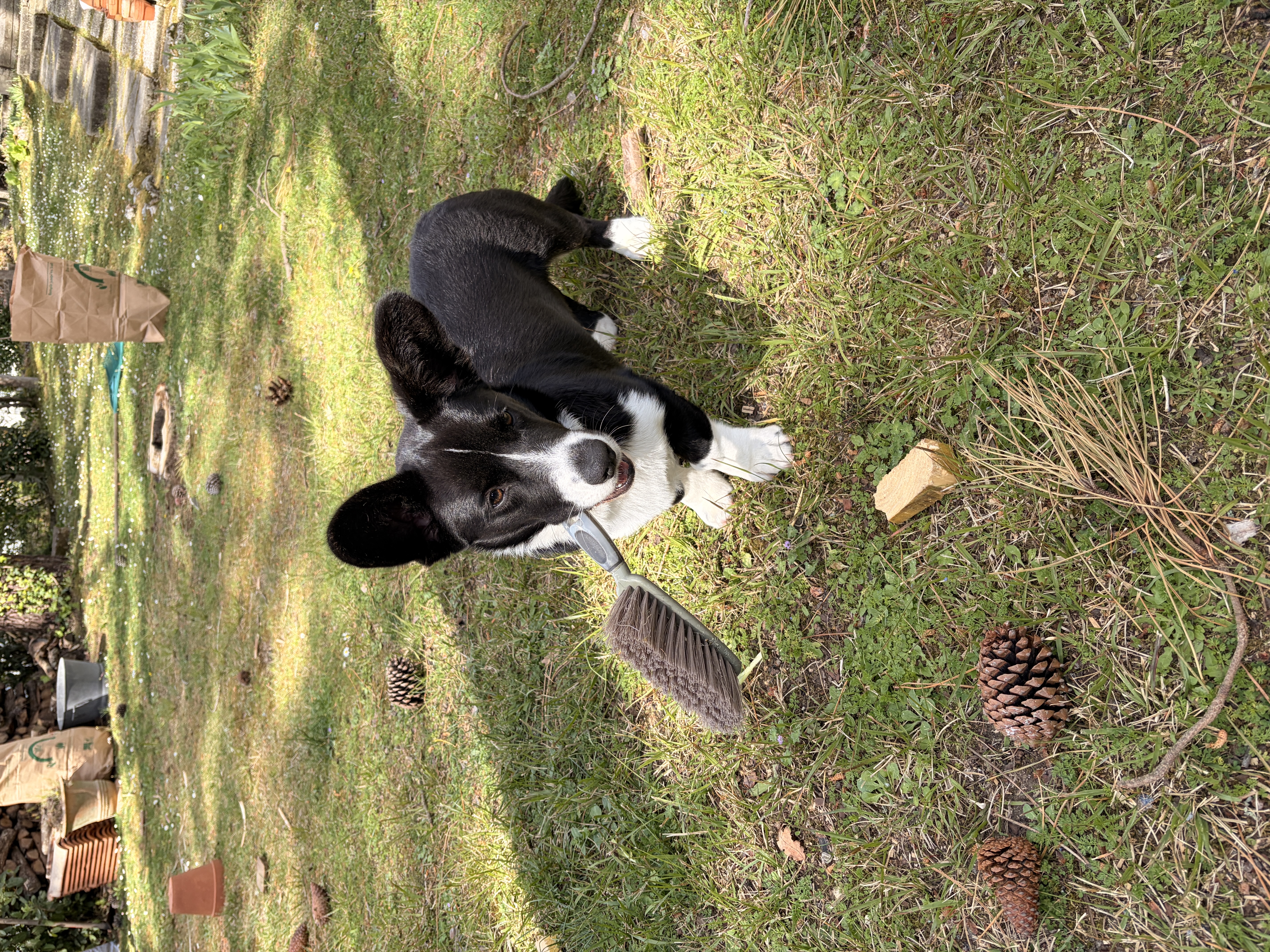 image-8