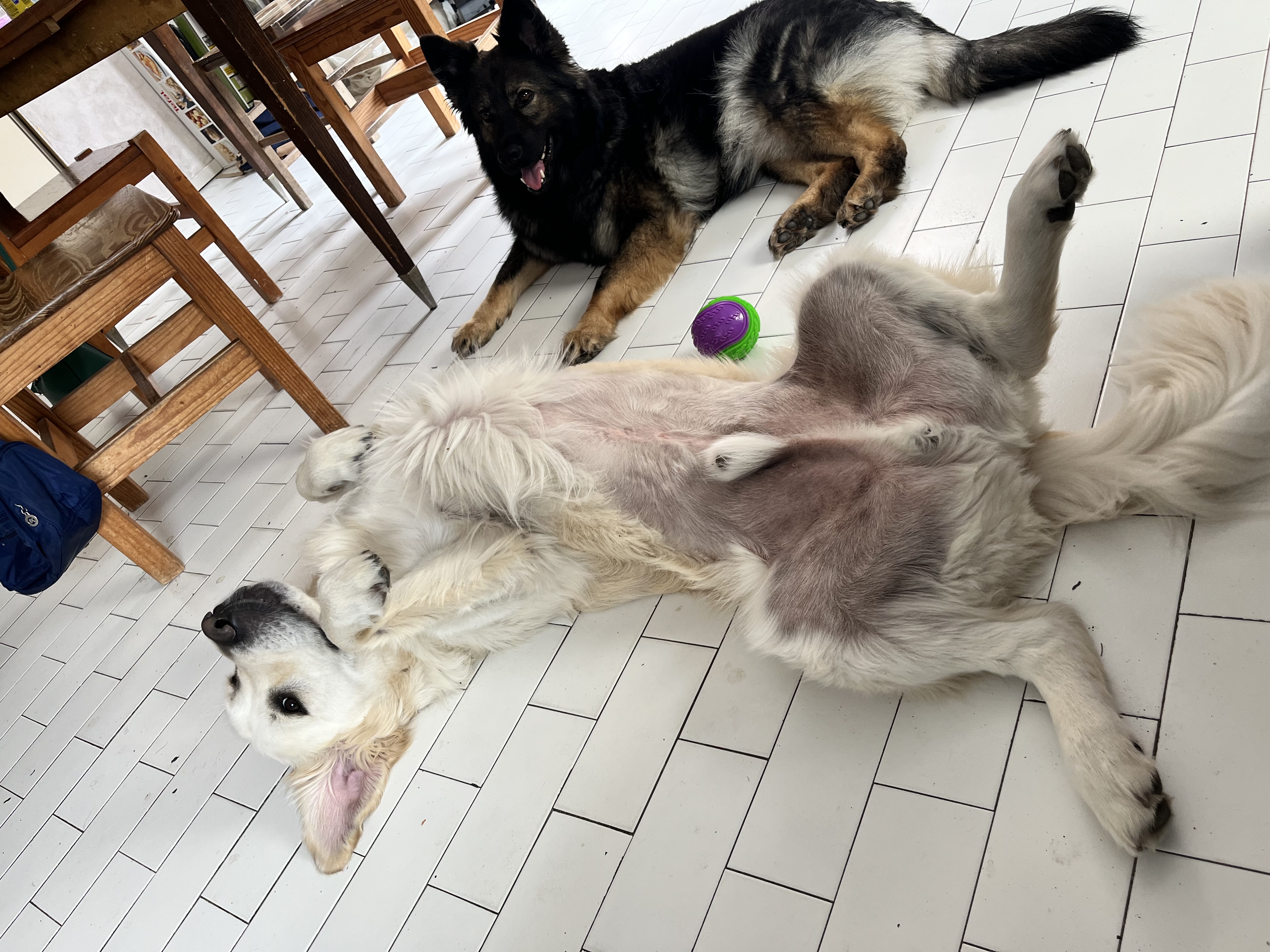 image-9