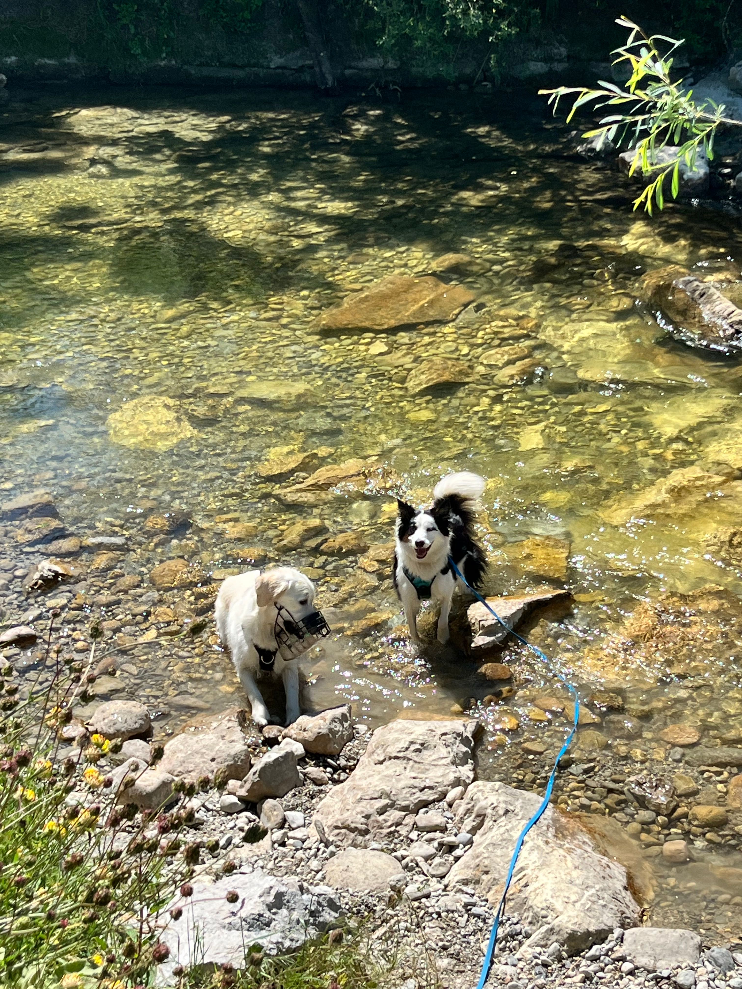 image-11