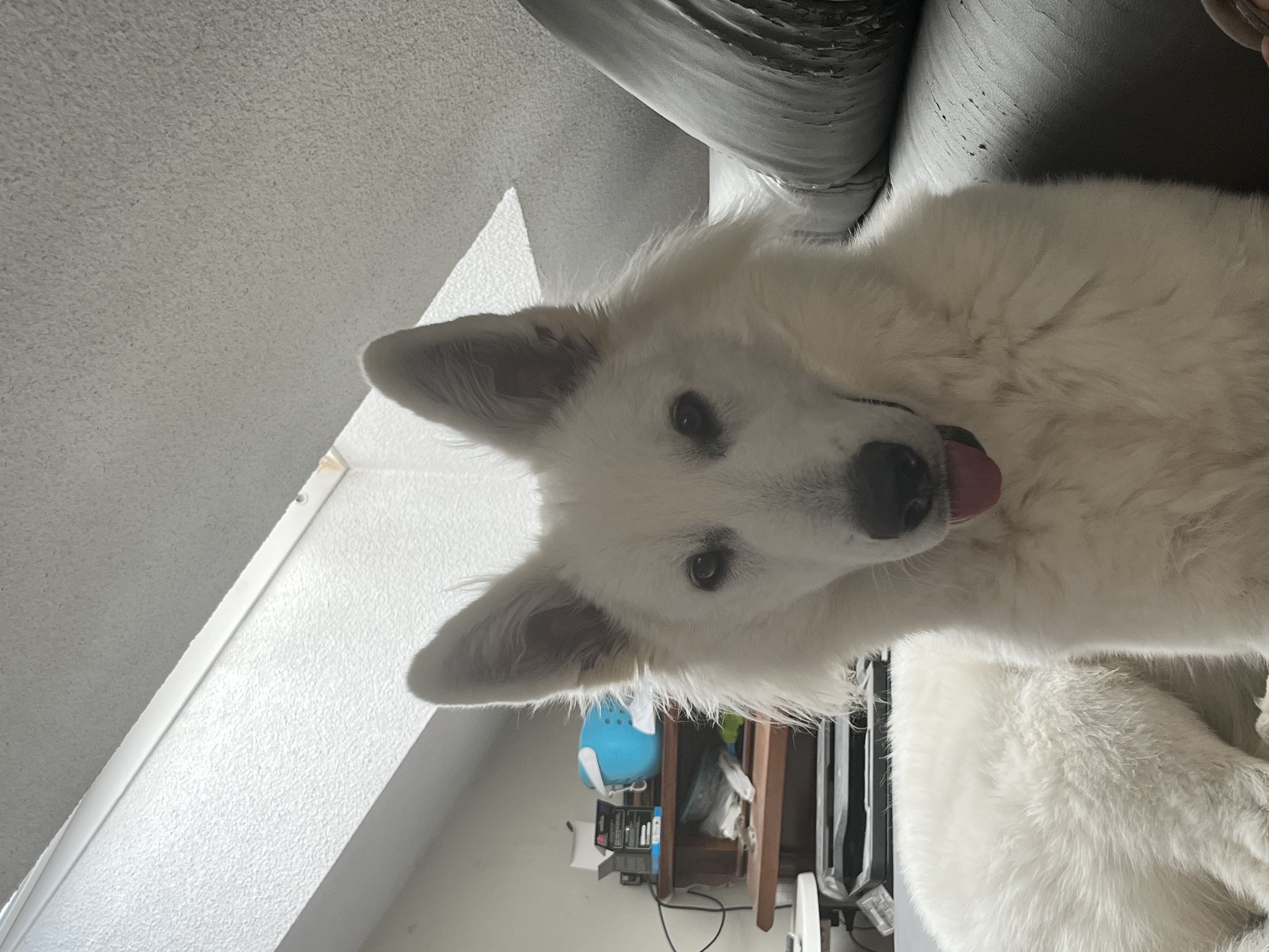 image-10