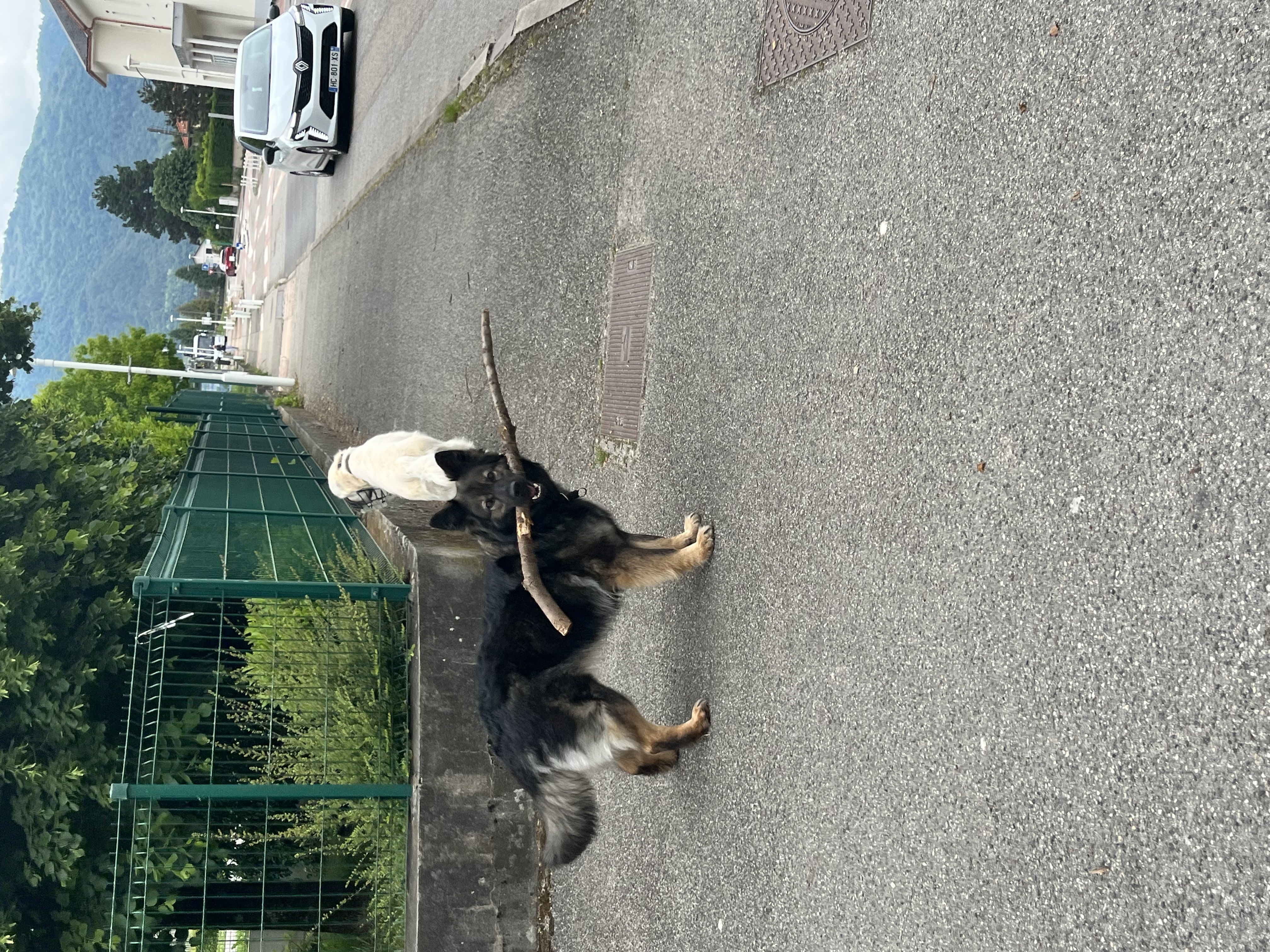 image-6