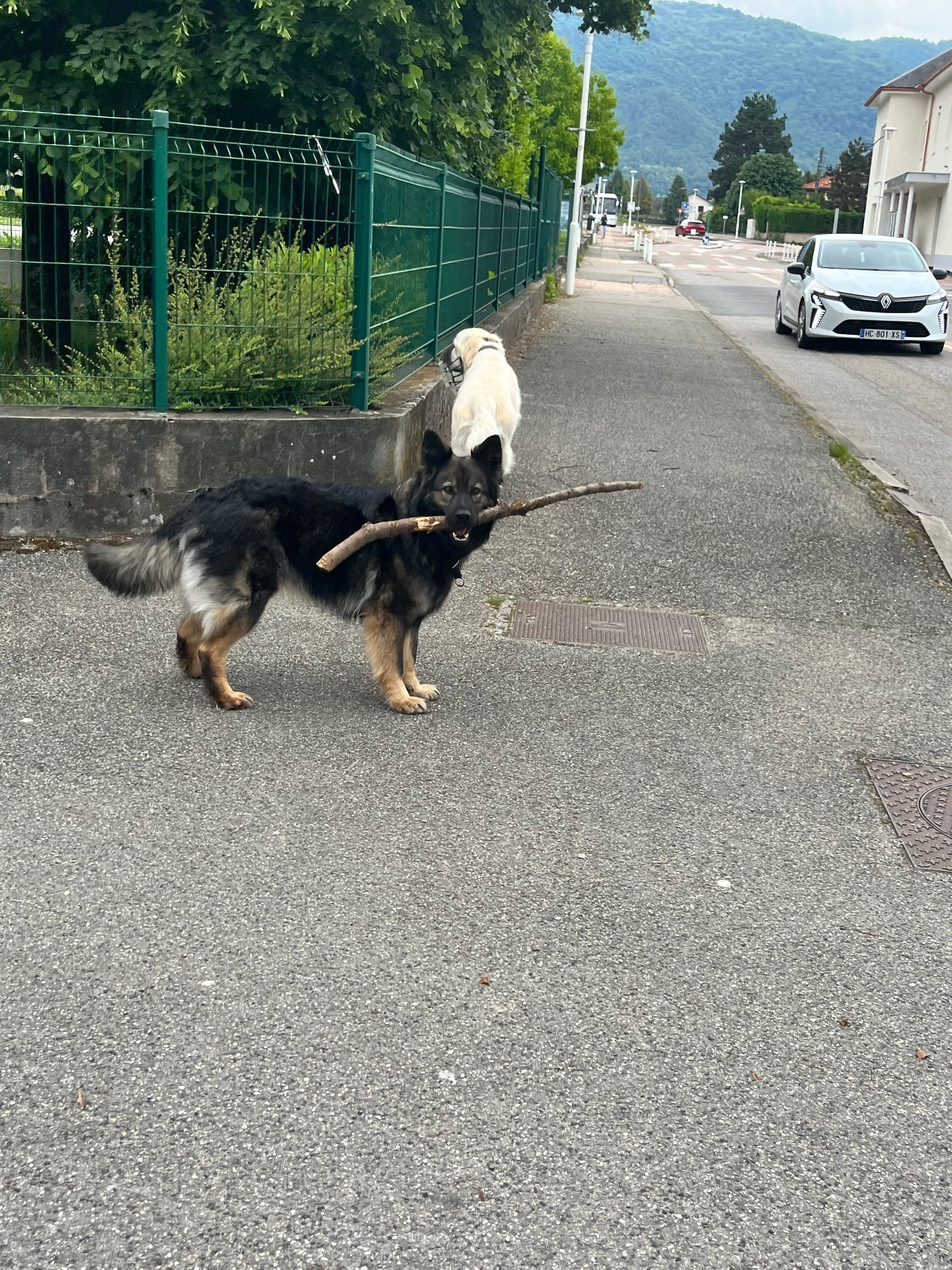 image-6