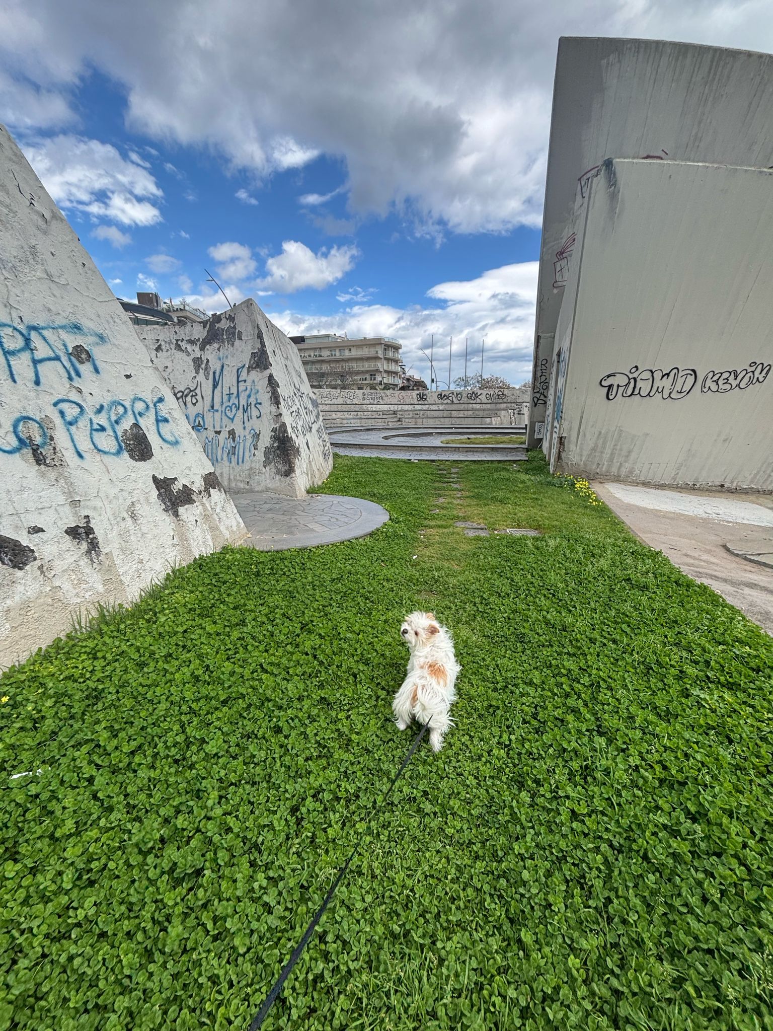 image-5