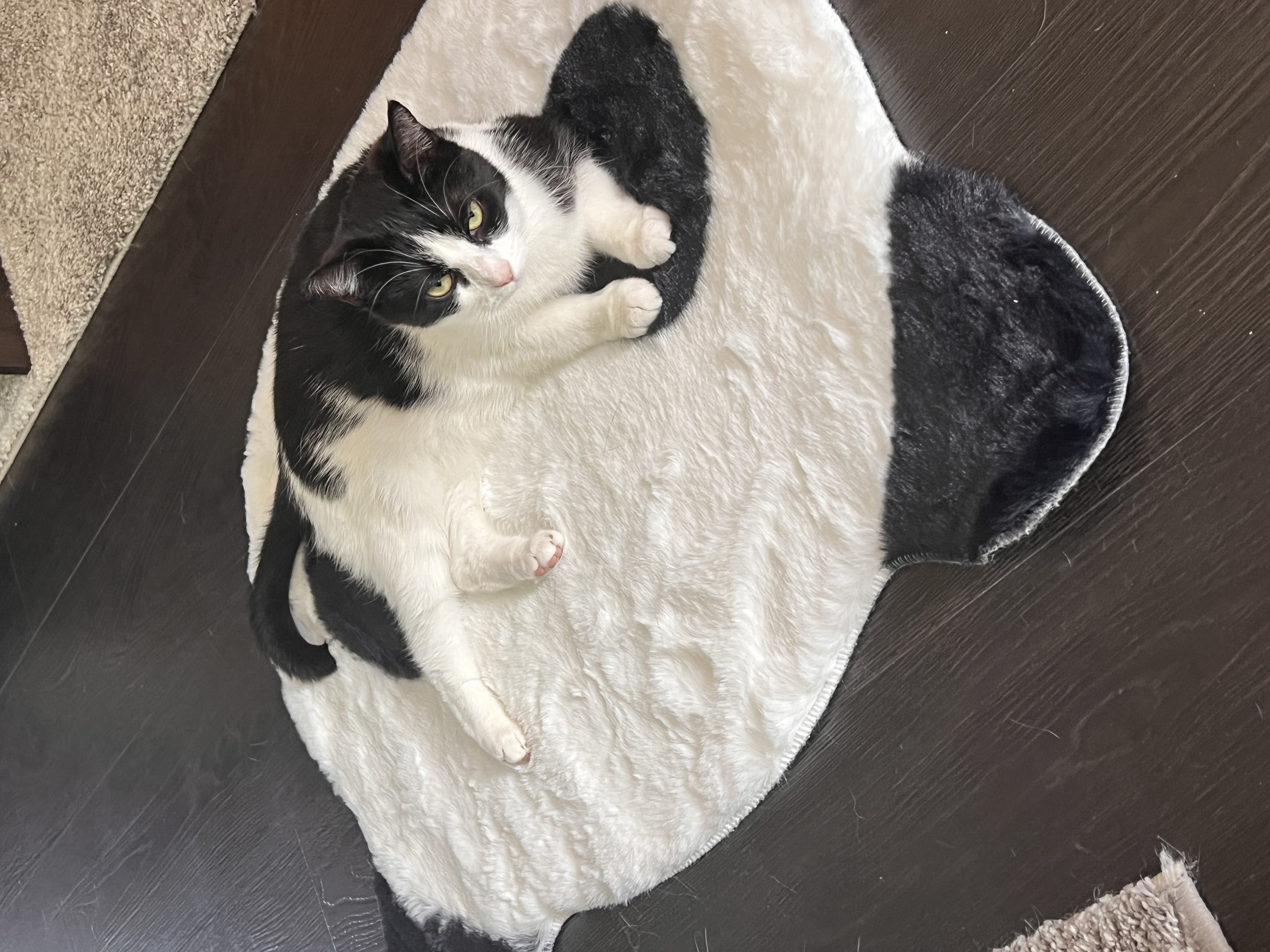 image-6
