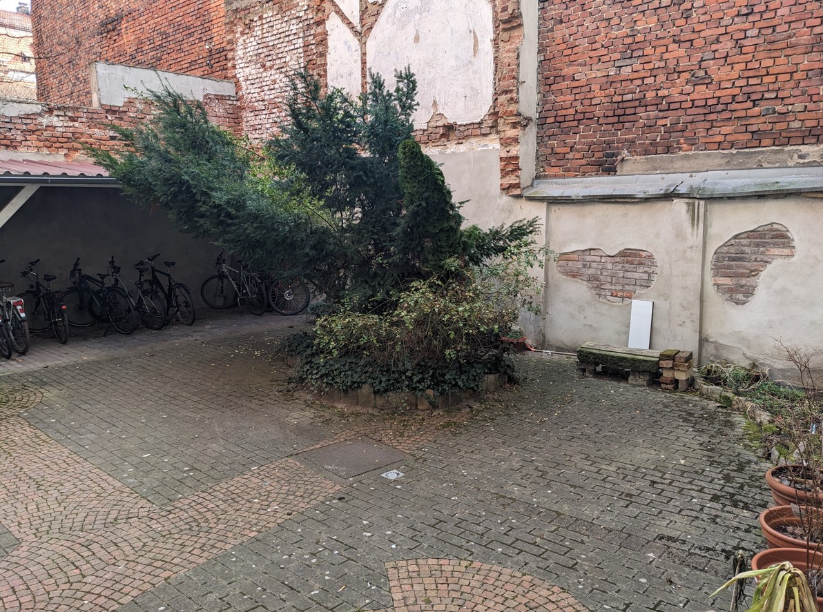 image-18