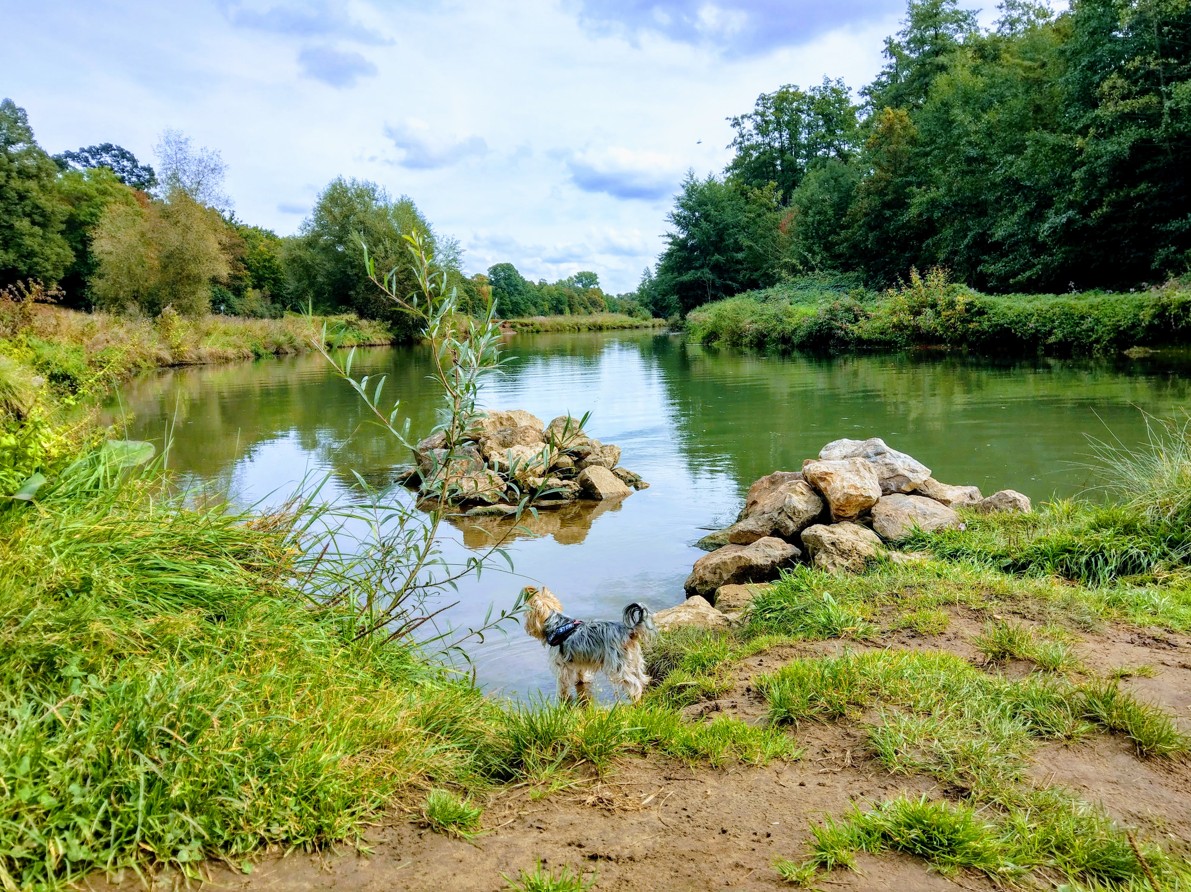 image-19