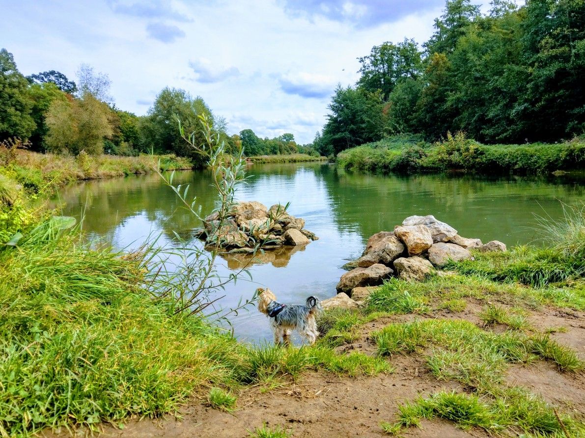 image-19