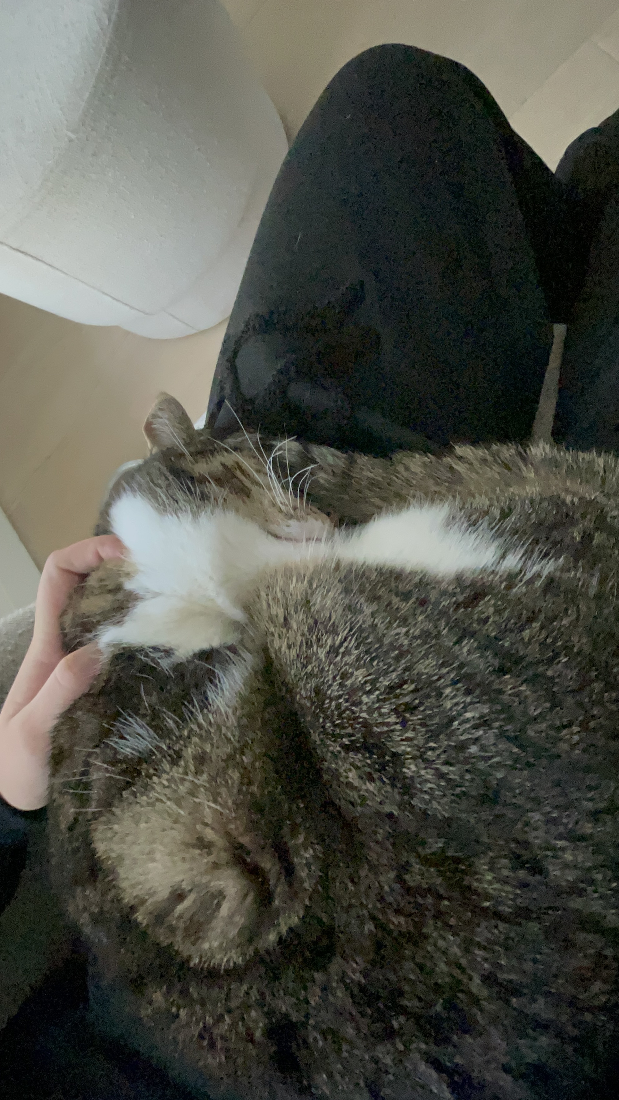 image-7
