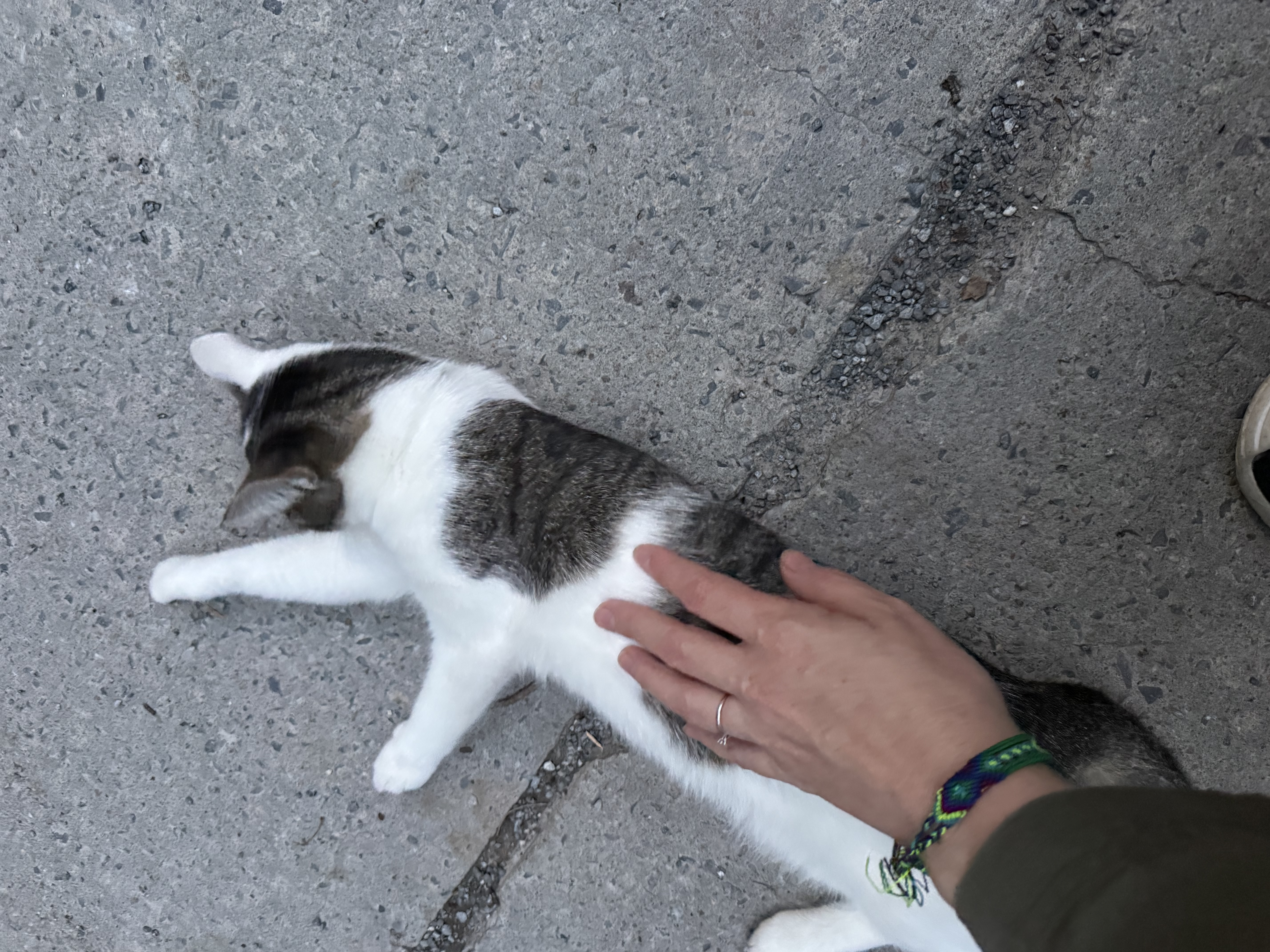 image-17