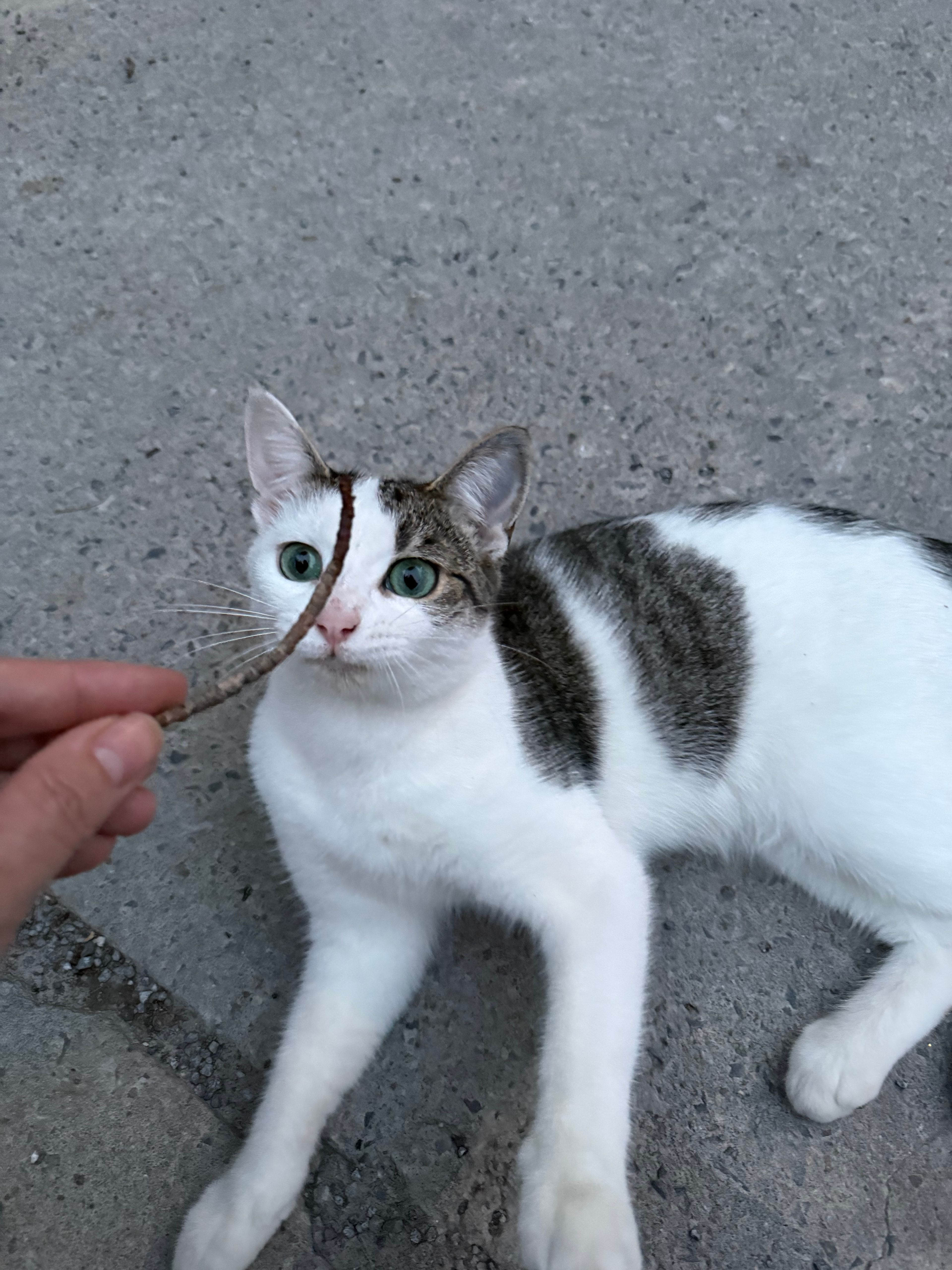 image-18