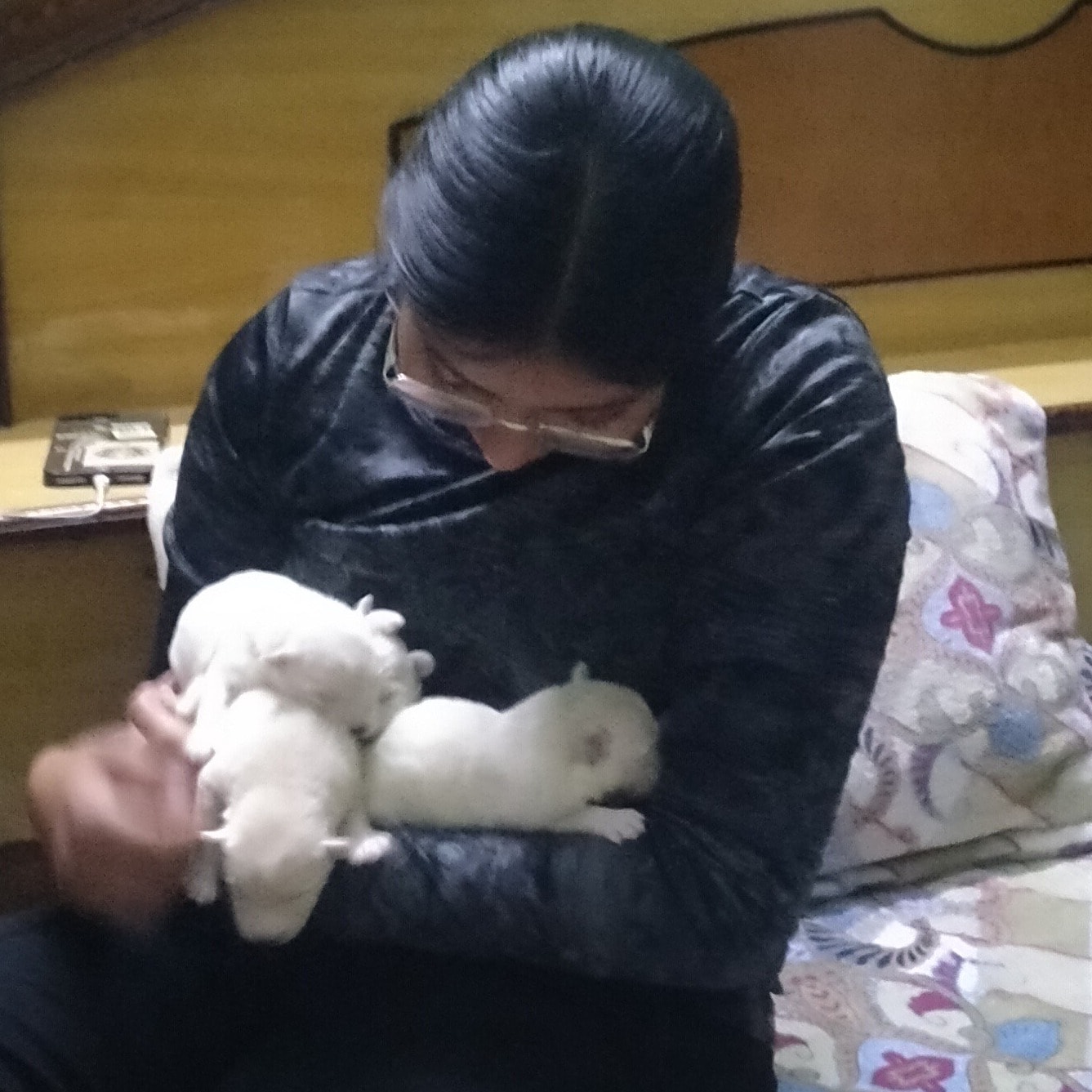 Puppies(Eros,Caramel,Bud and Ramy)