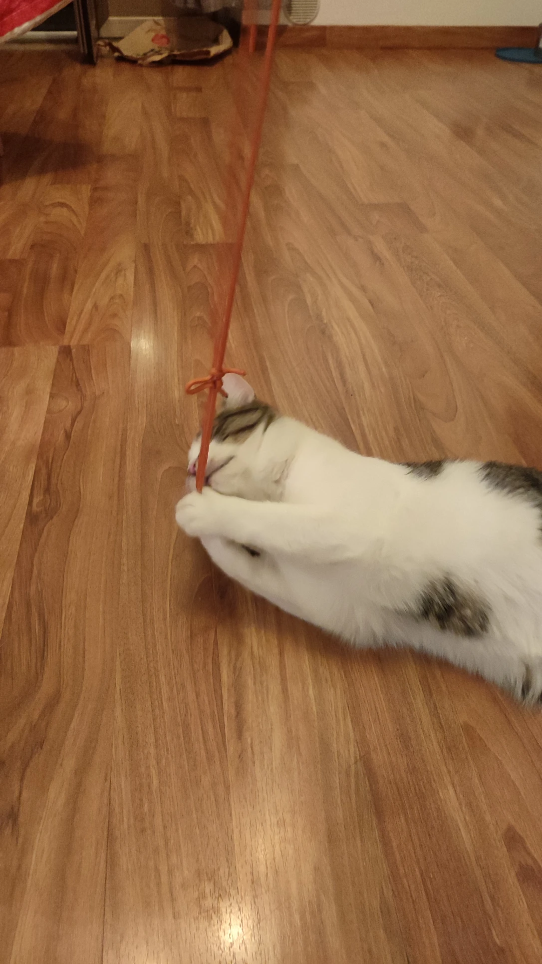 image-8