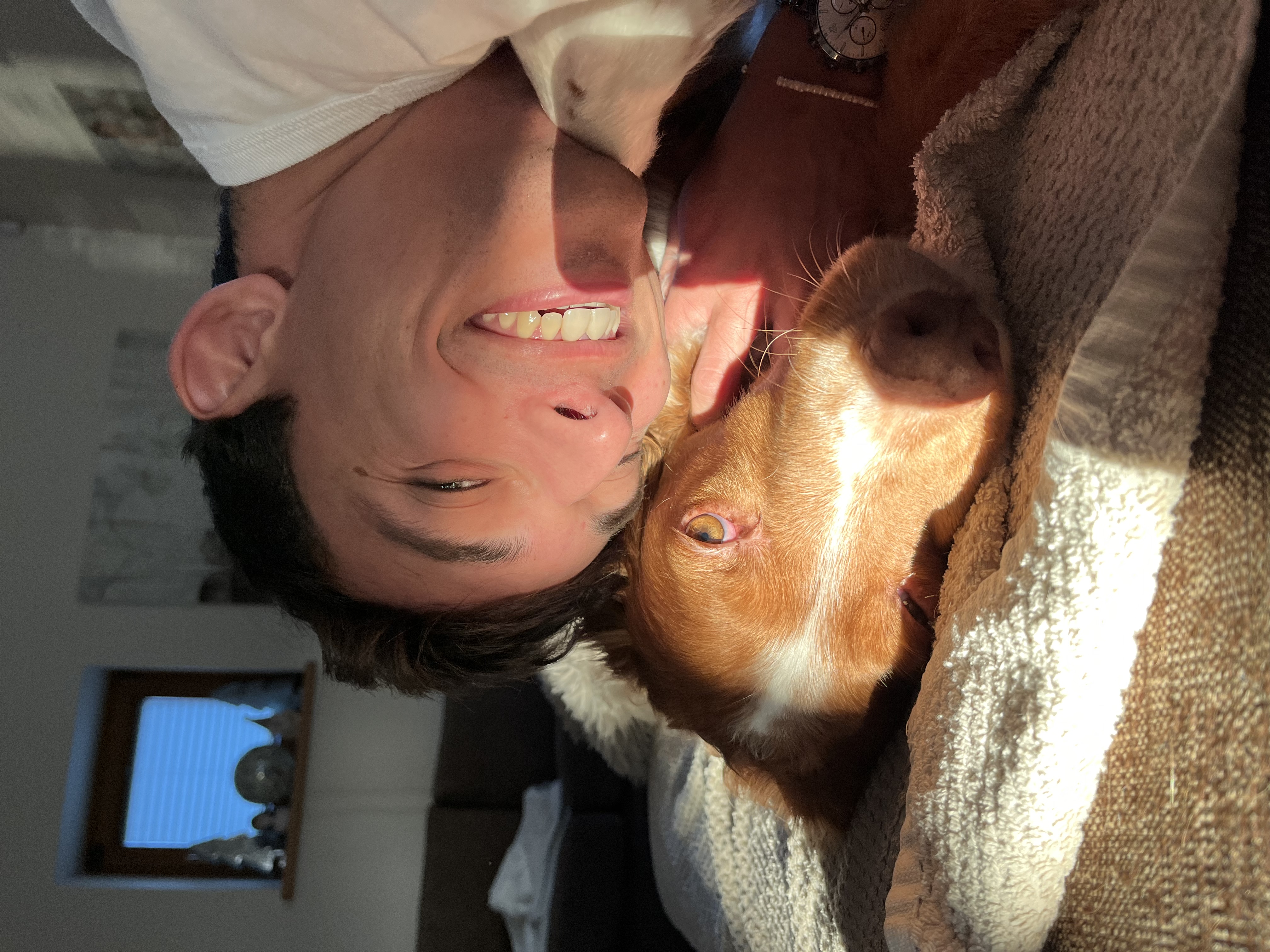 image-6