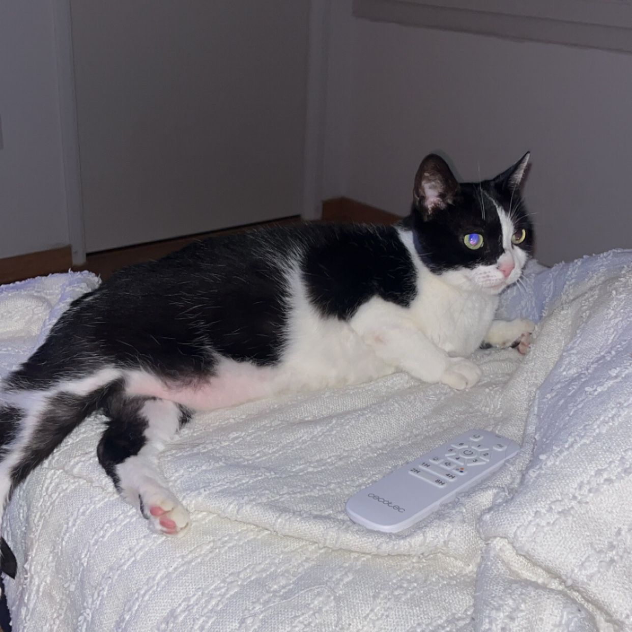 Mimi