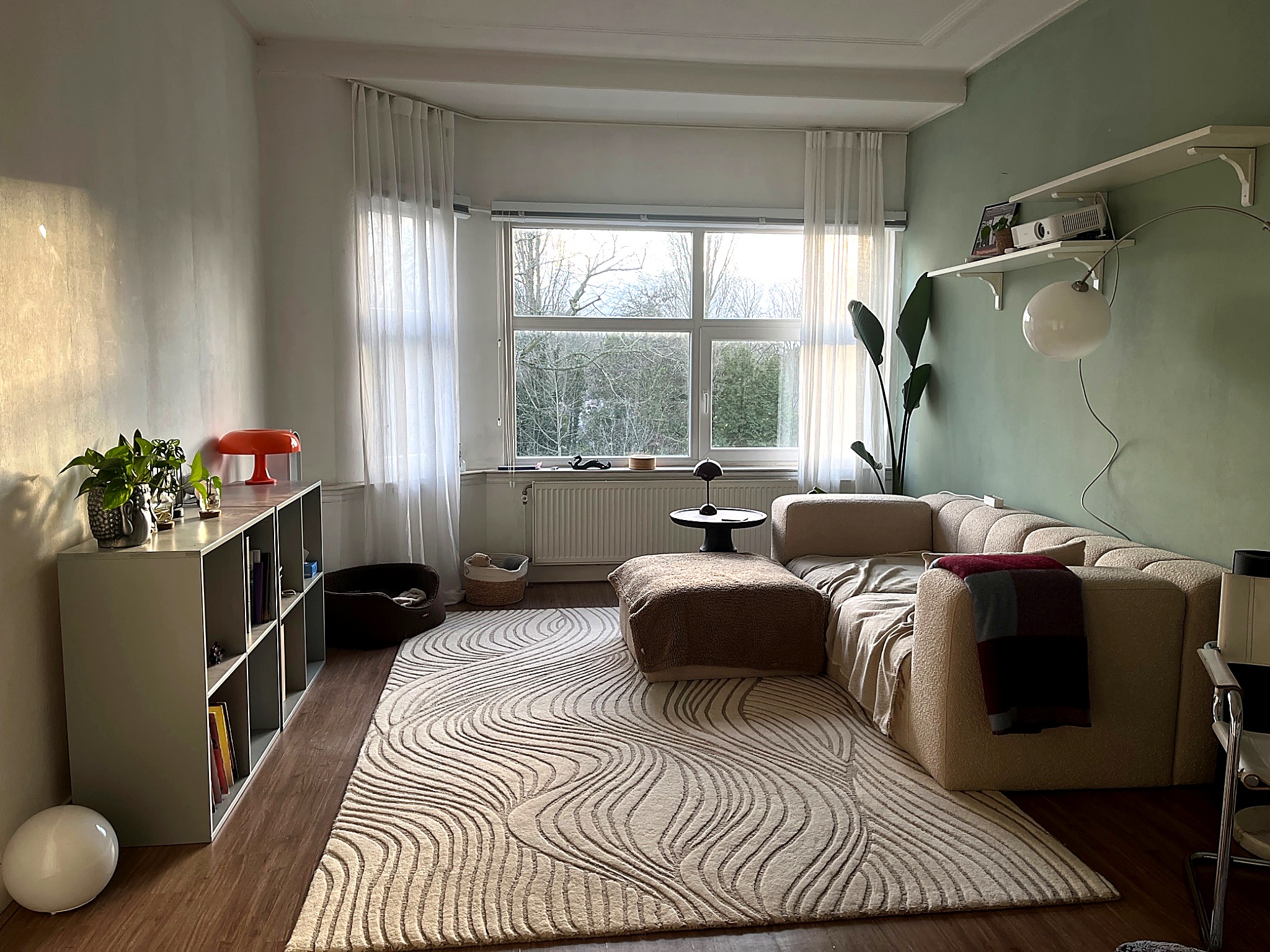image-12