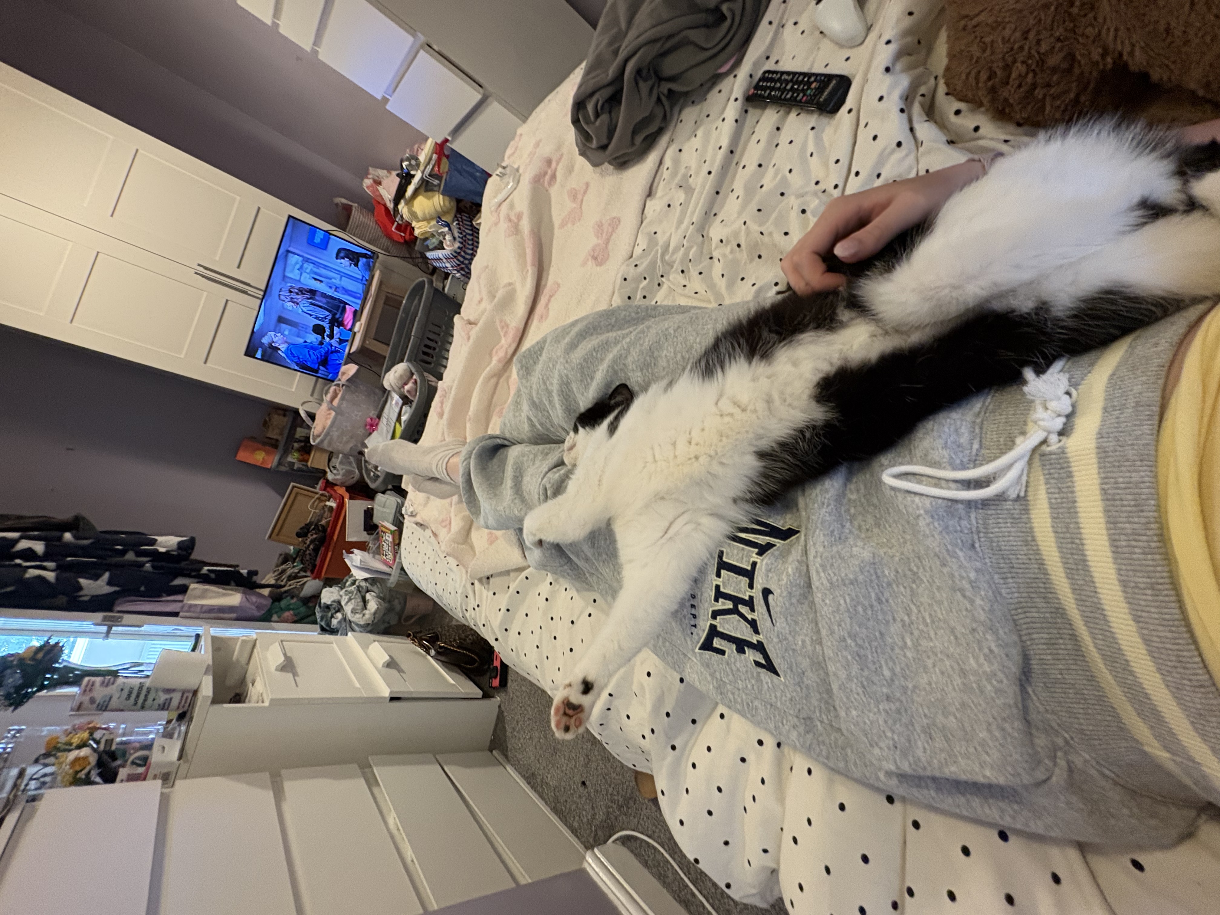 image-9