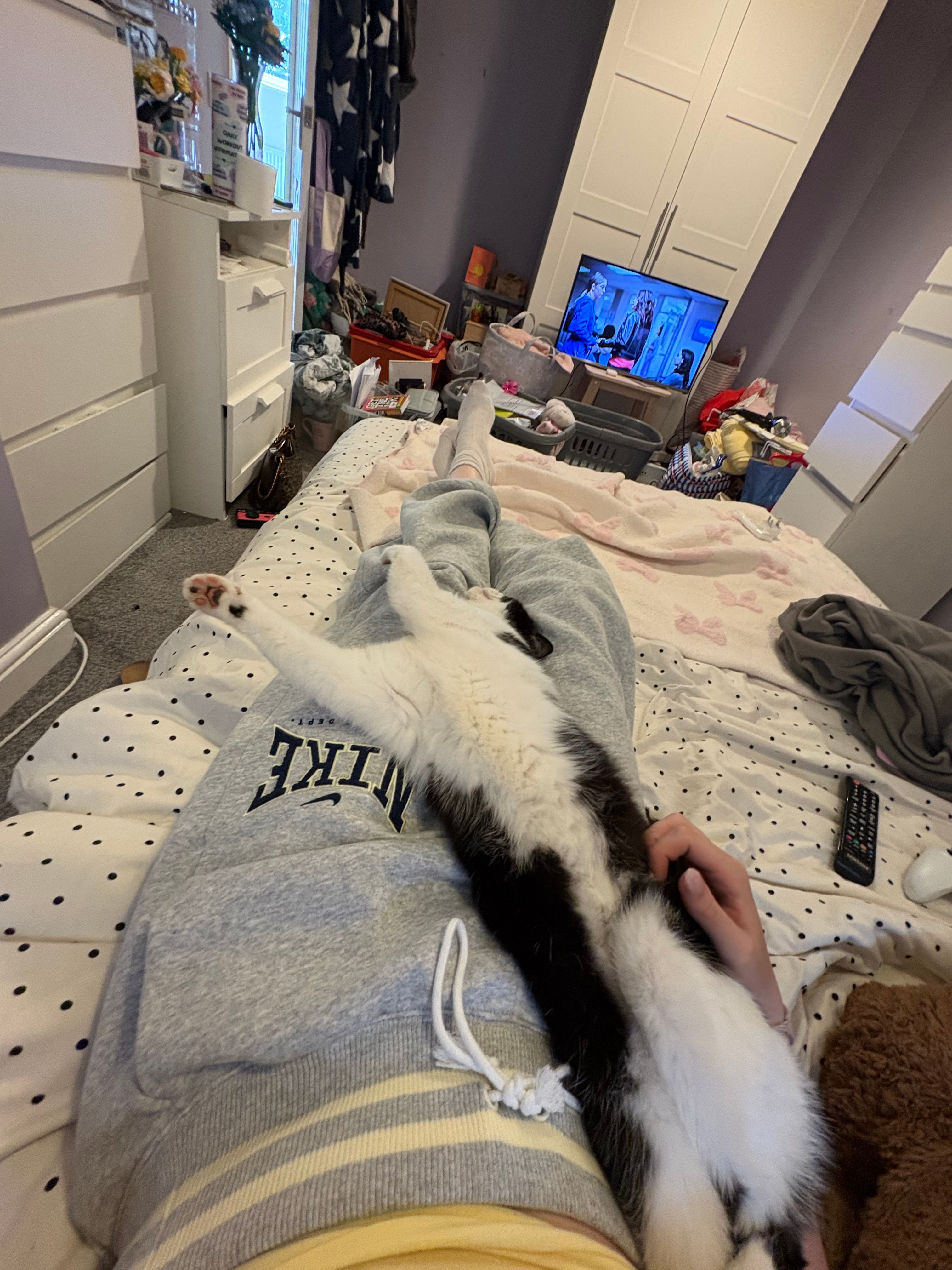 image-9
