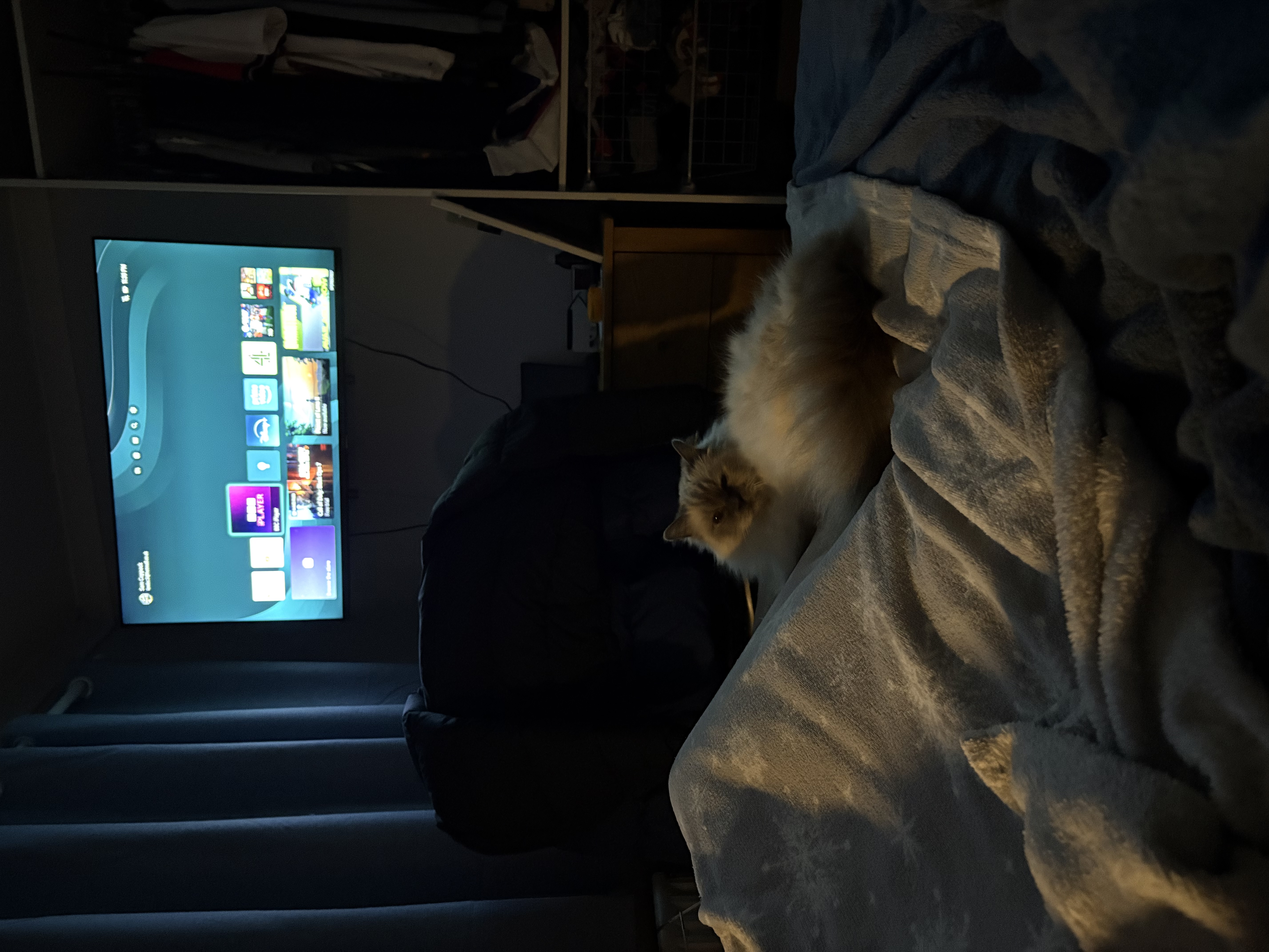 image-8