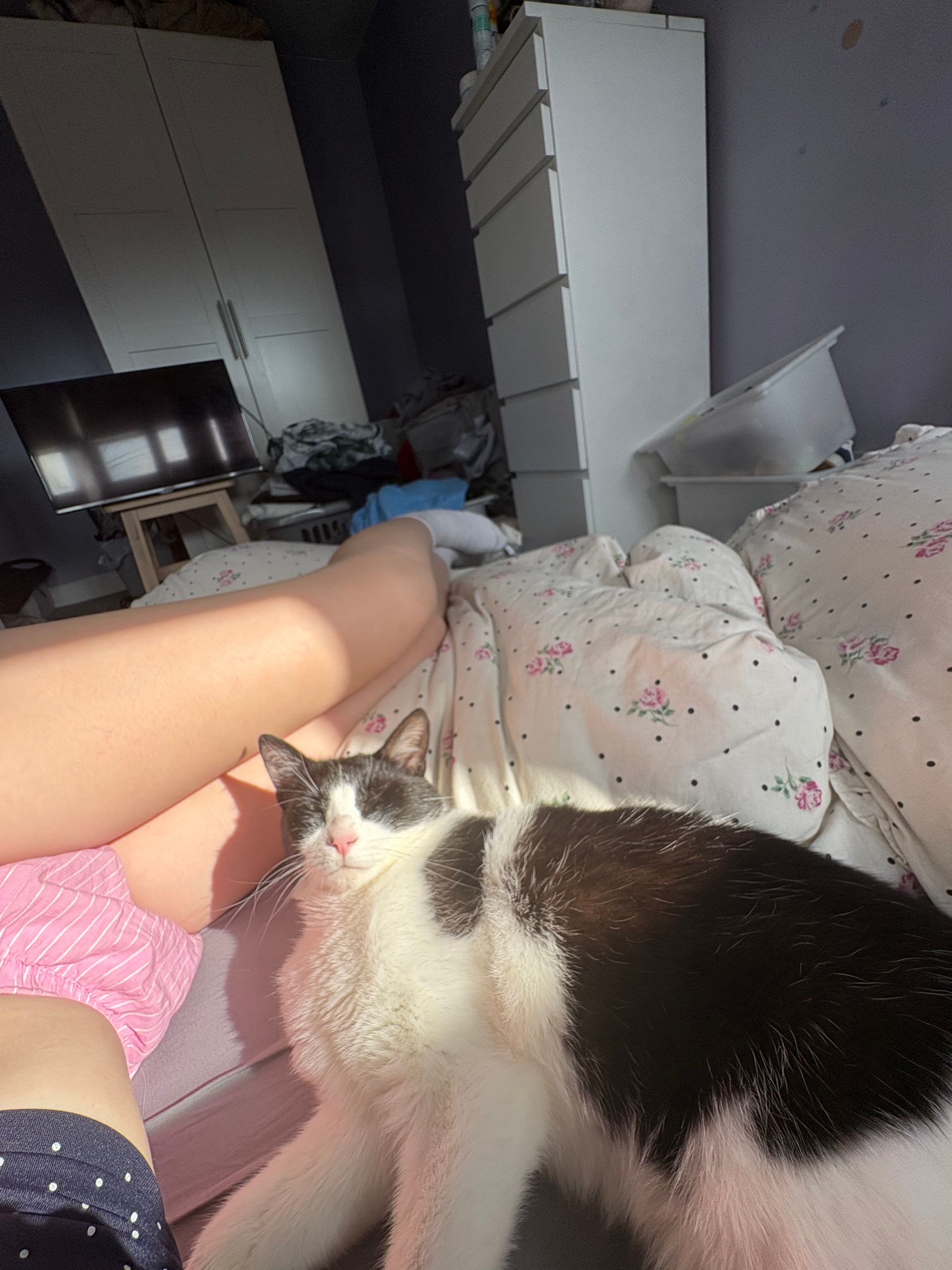 image-7