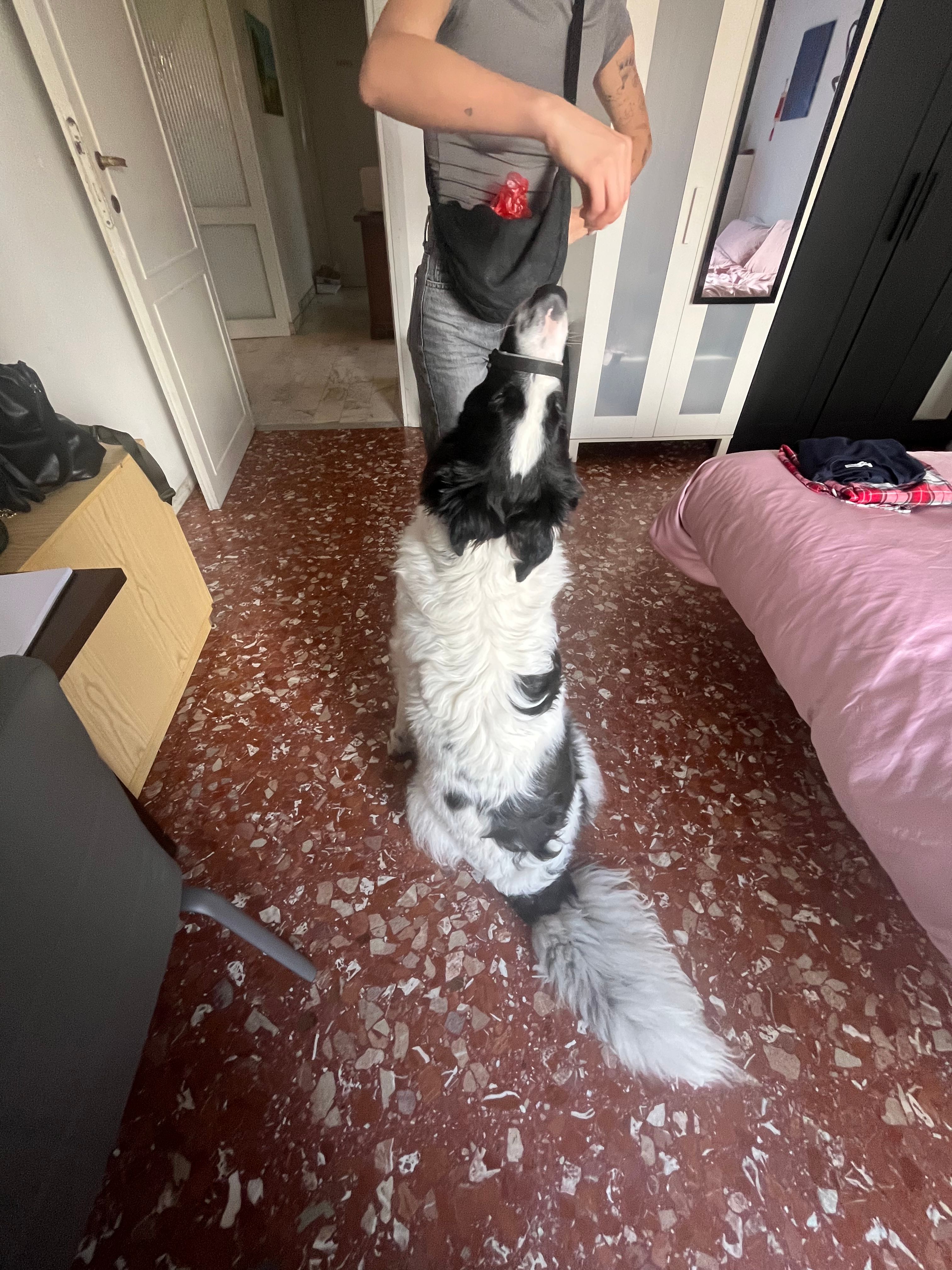 image-14