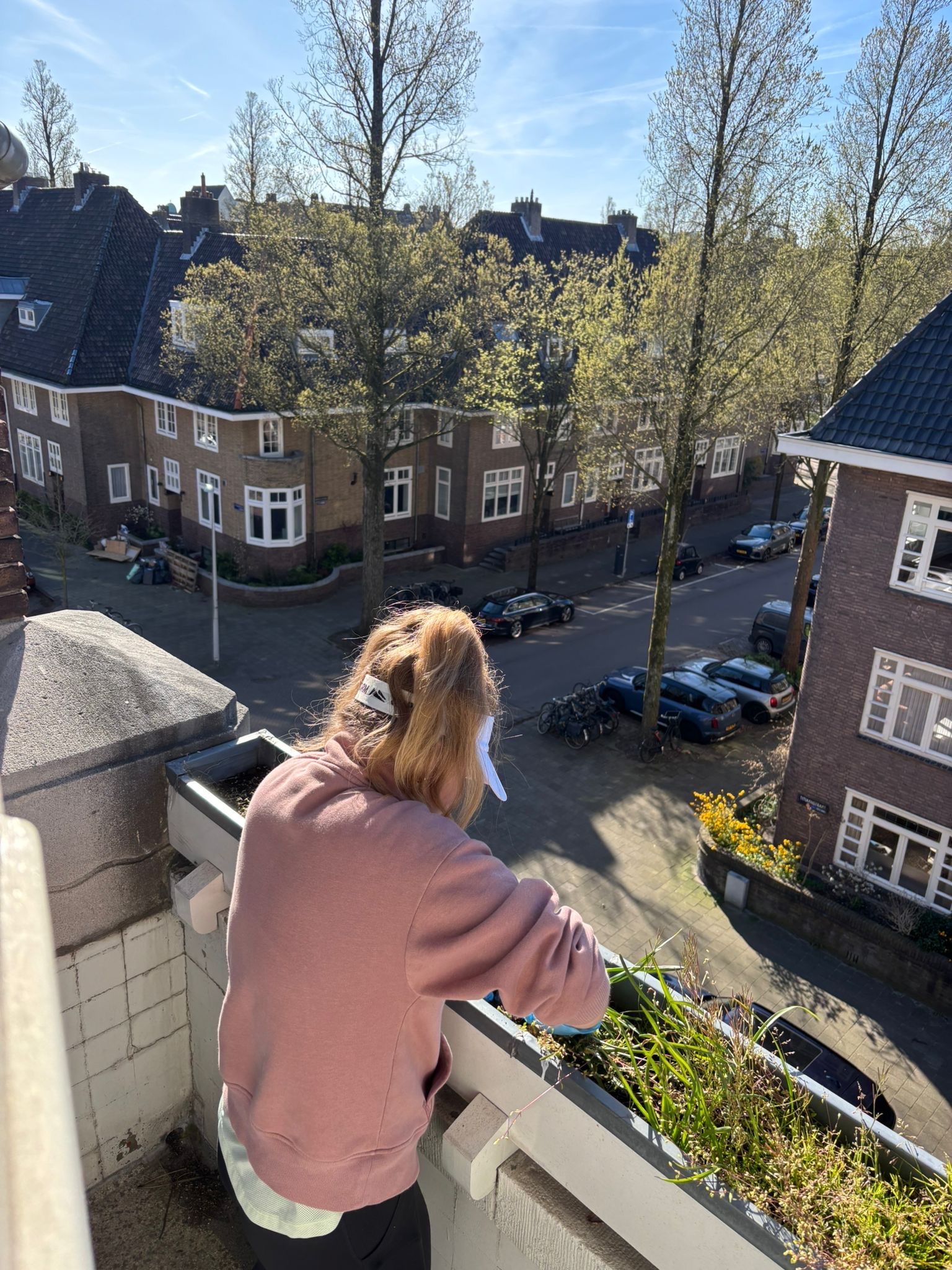 image-12