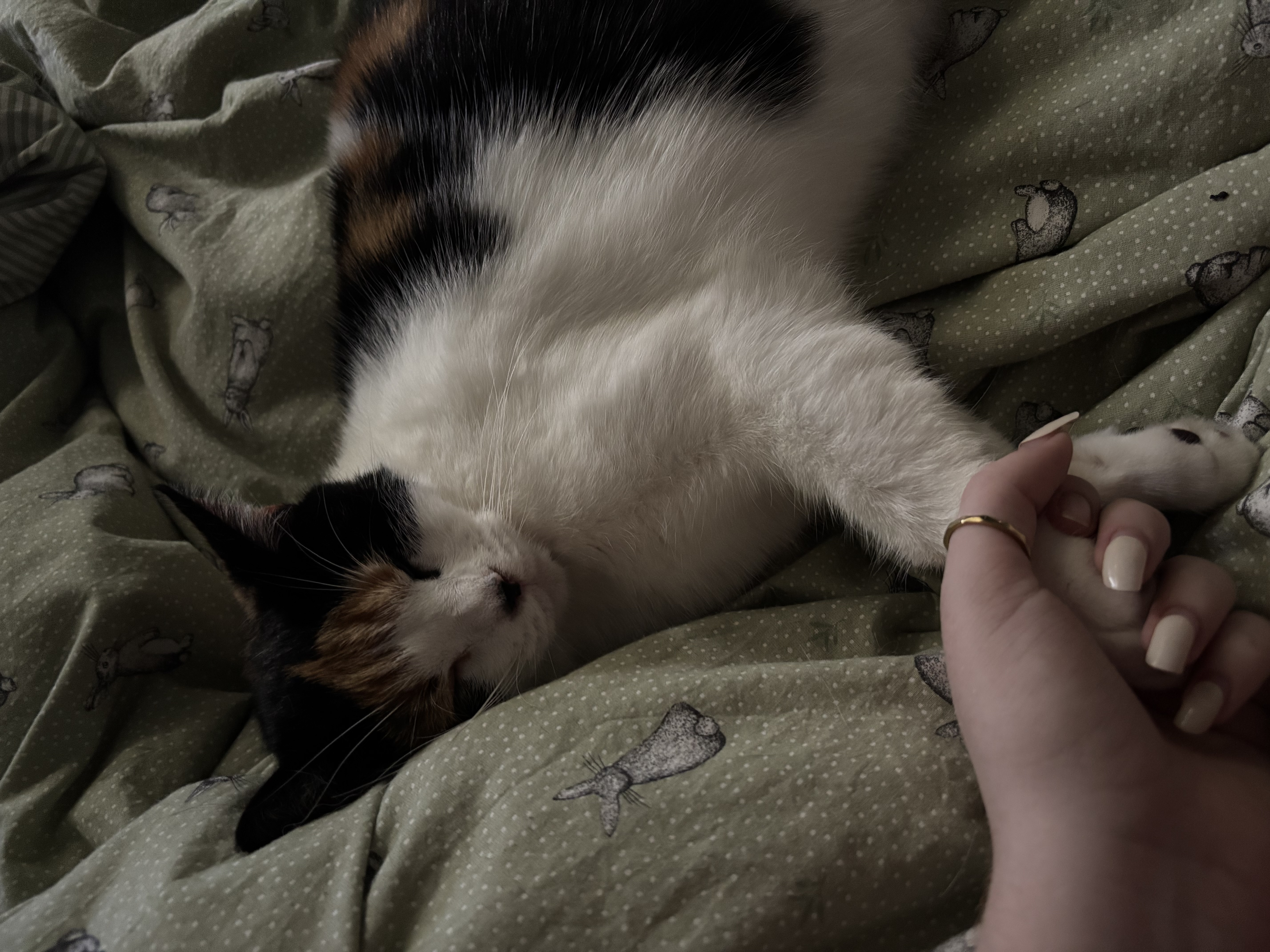 image-5