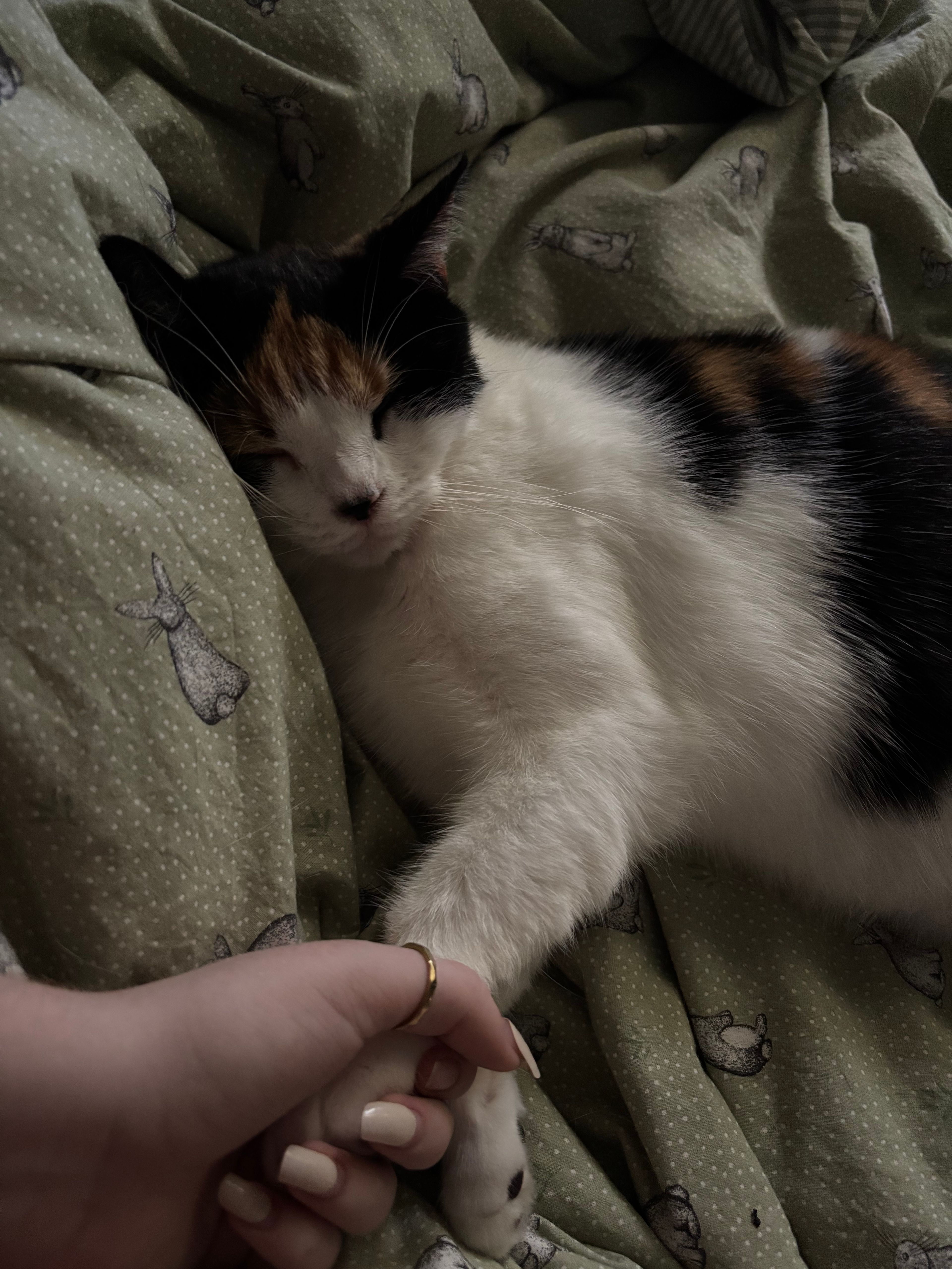 image-5