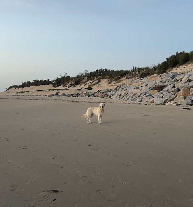 image-9