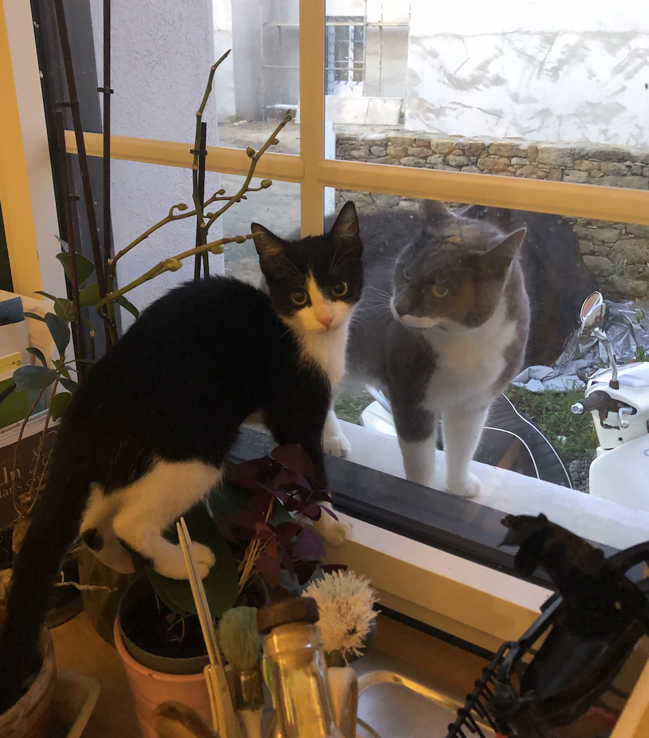 image-16