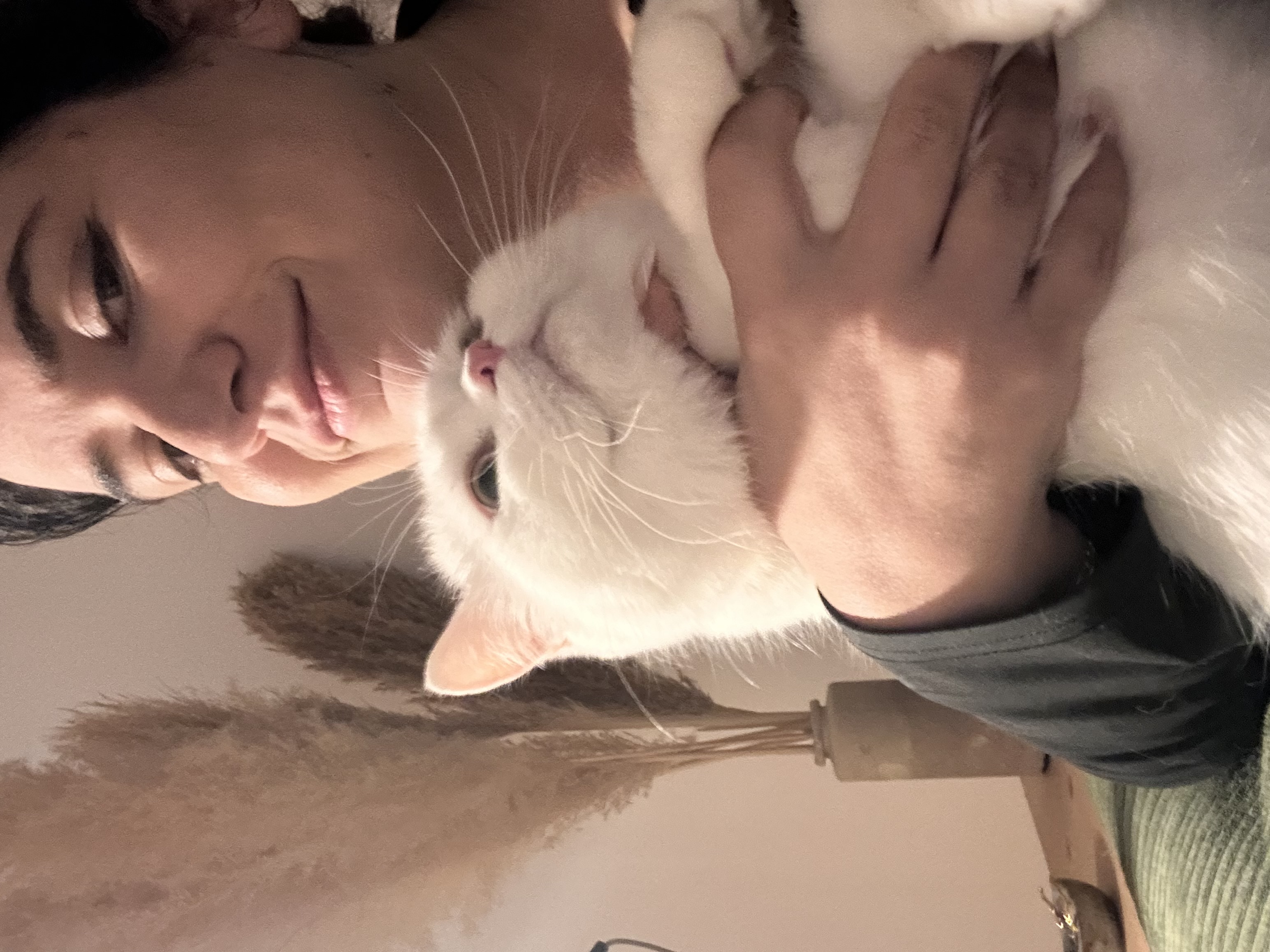 image-8
