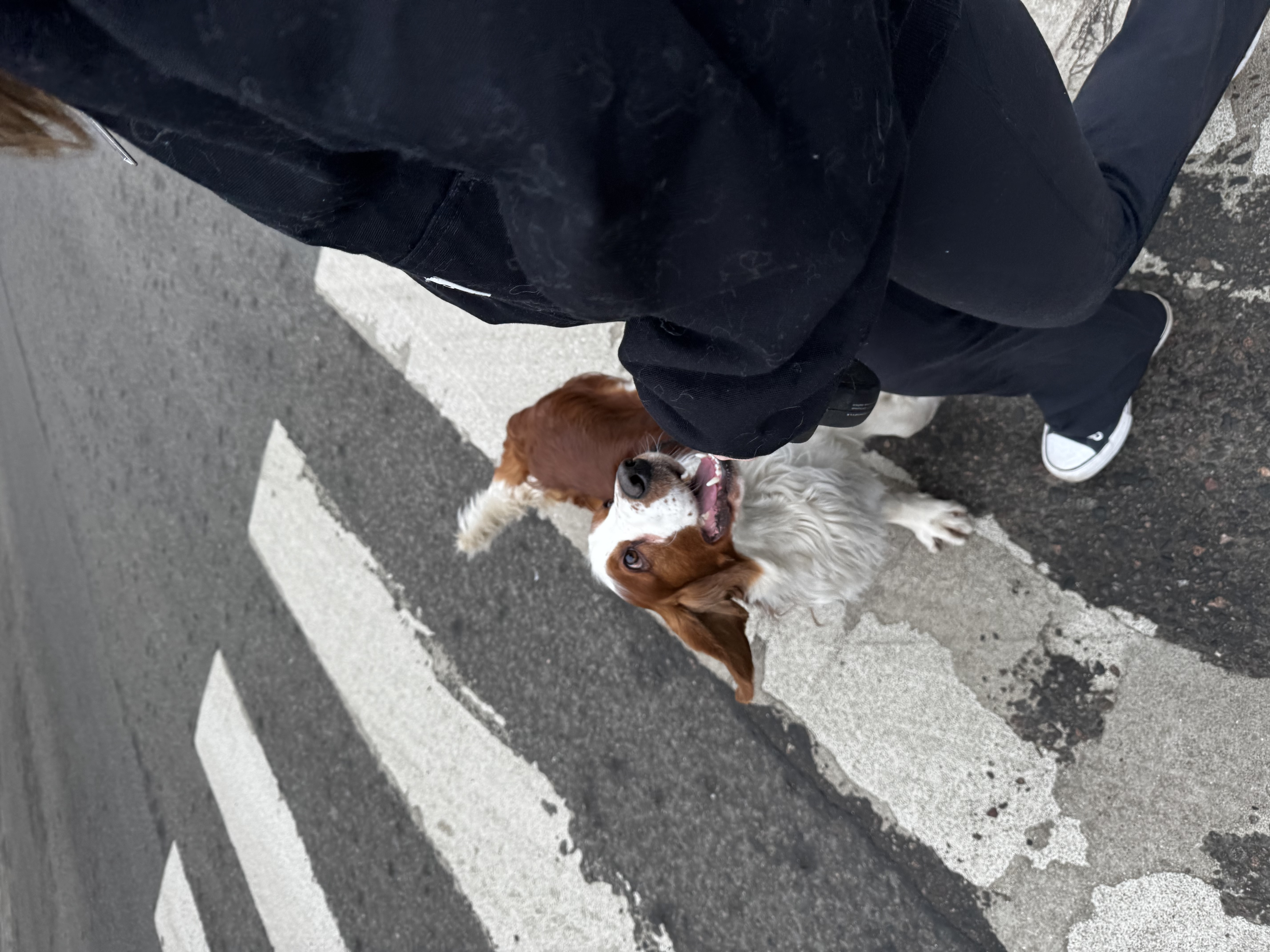 image-15