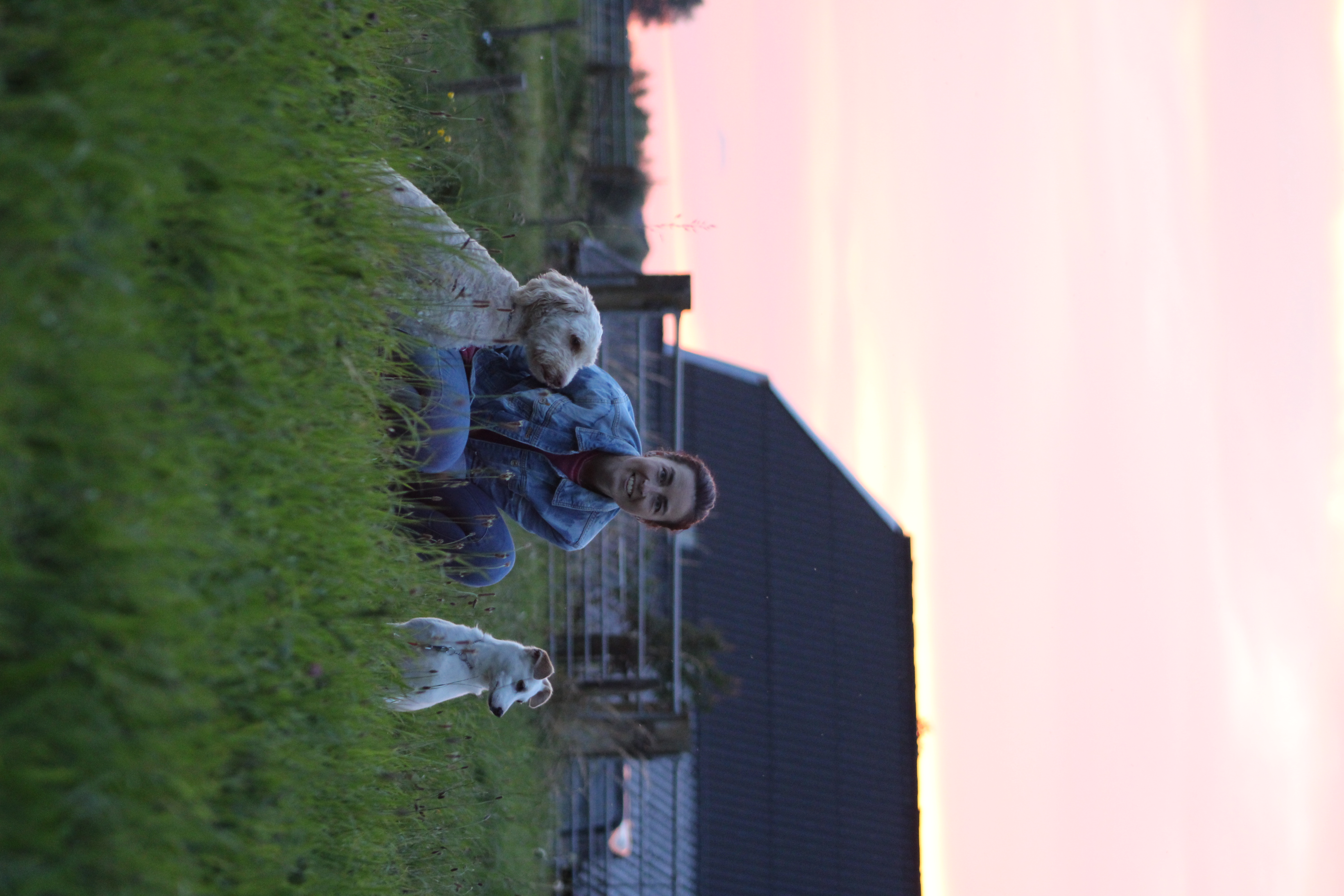 image-12