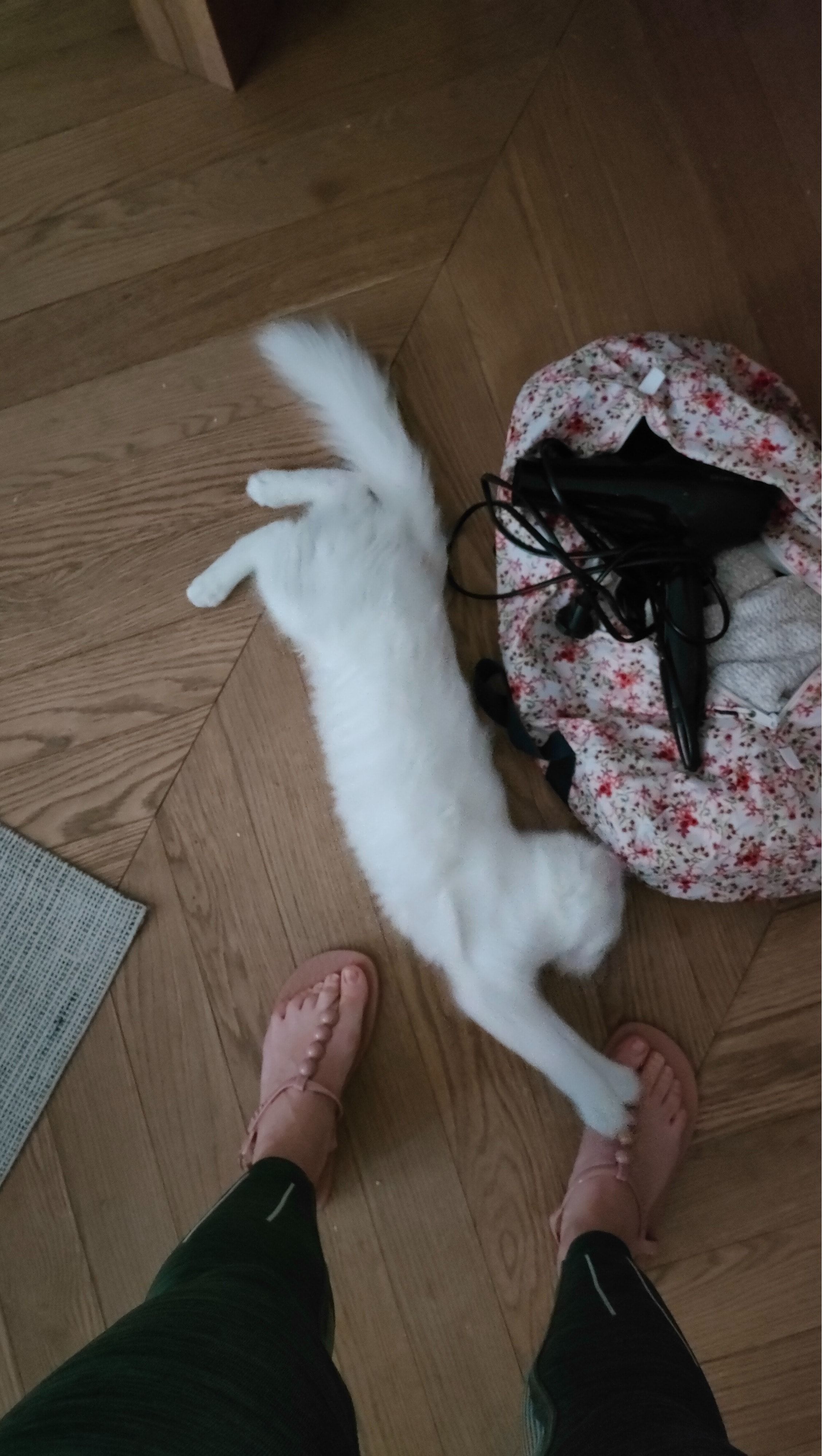 image-17
