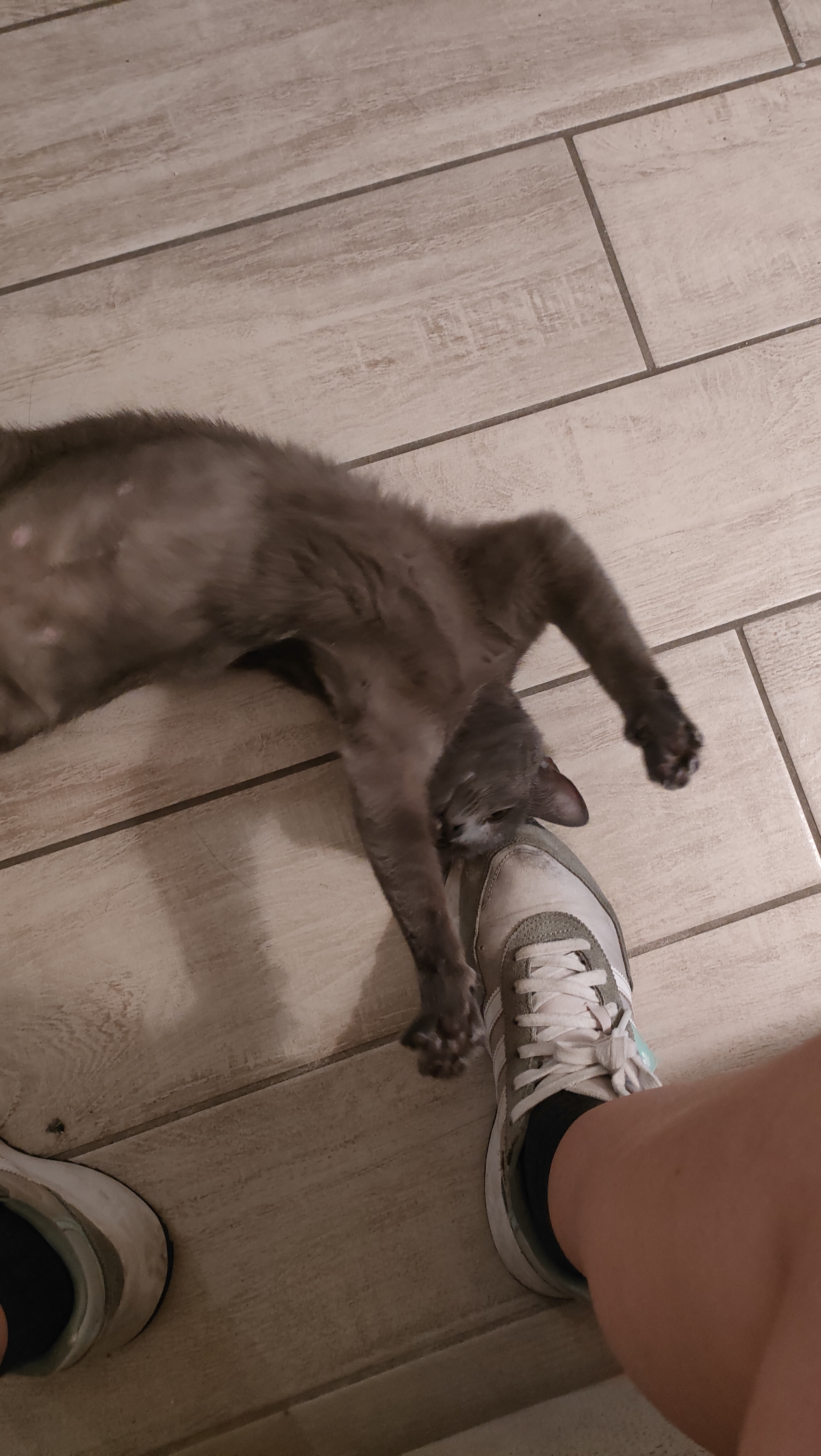 image-7