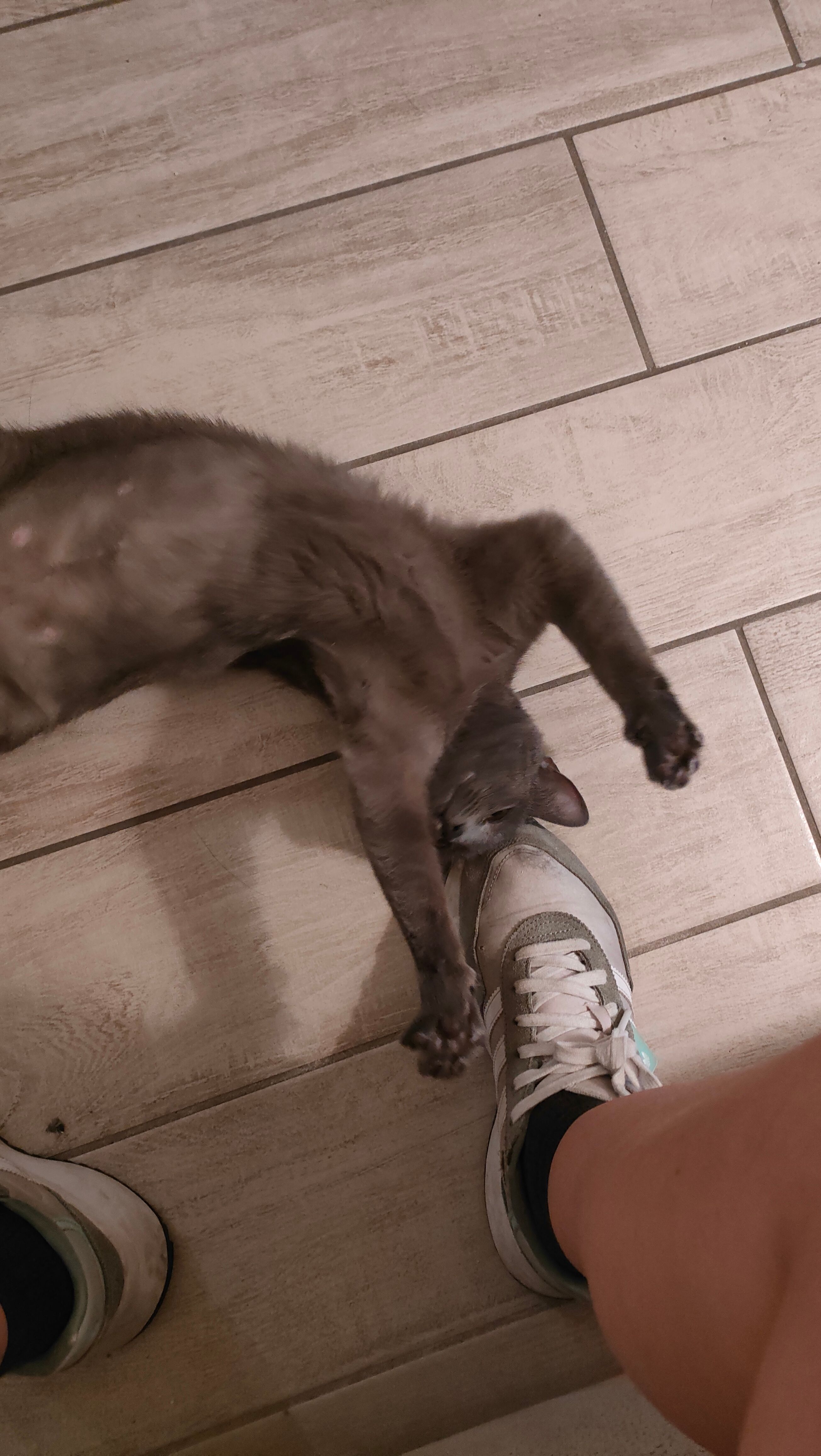 image-7