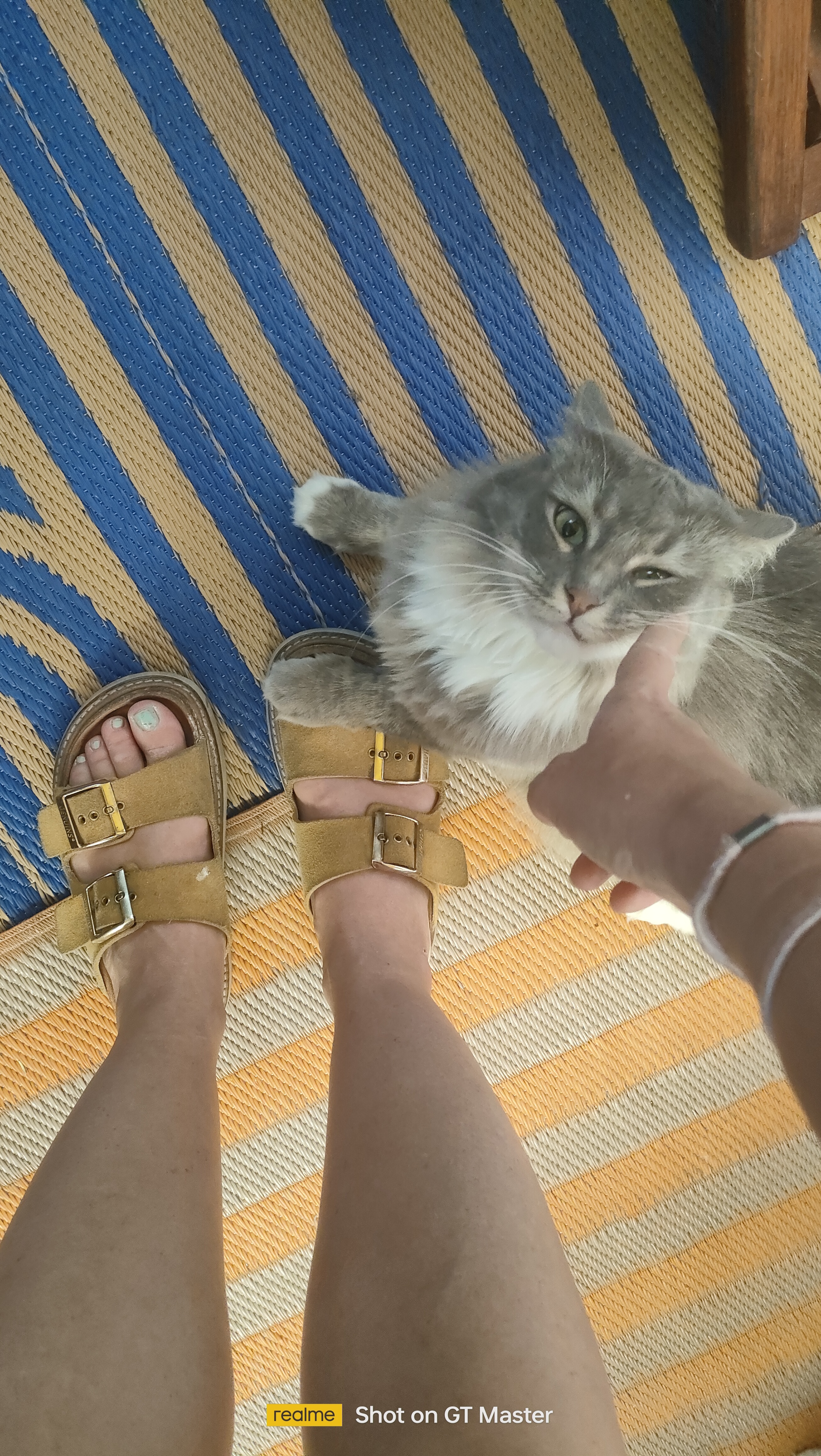 image-8
