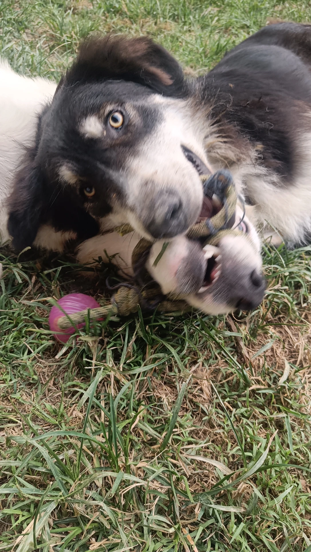 image-6