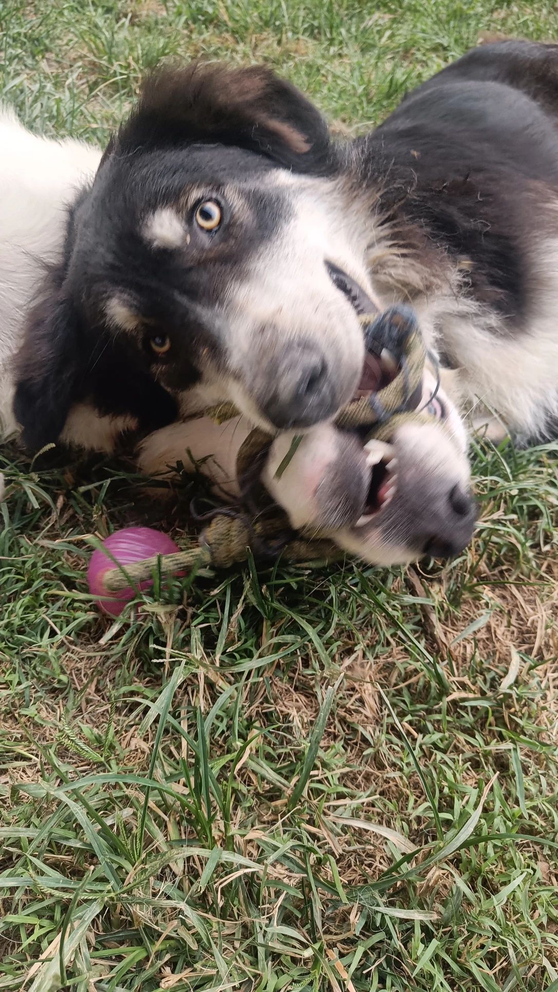 image-6
