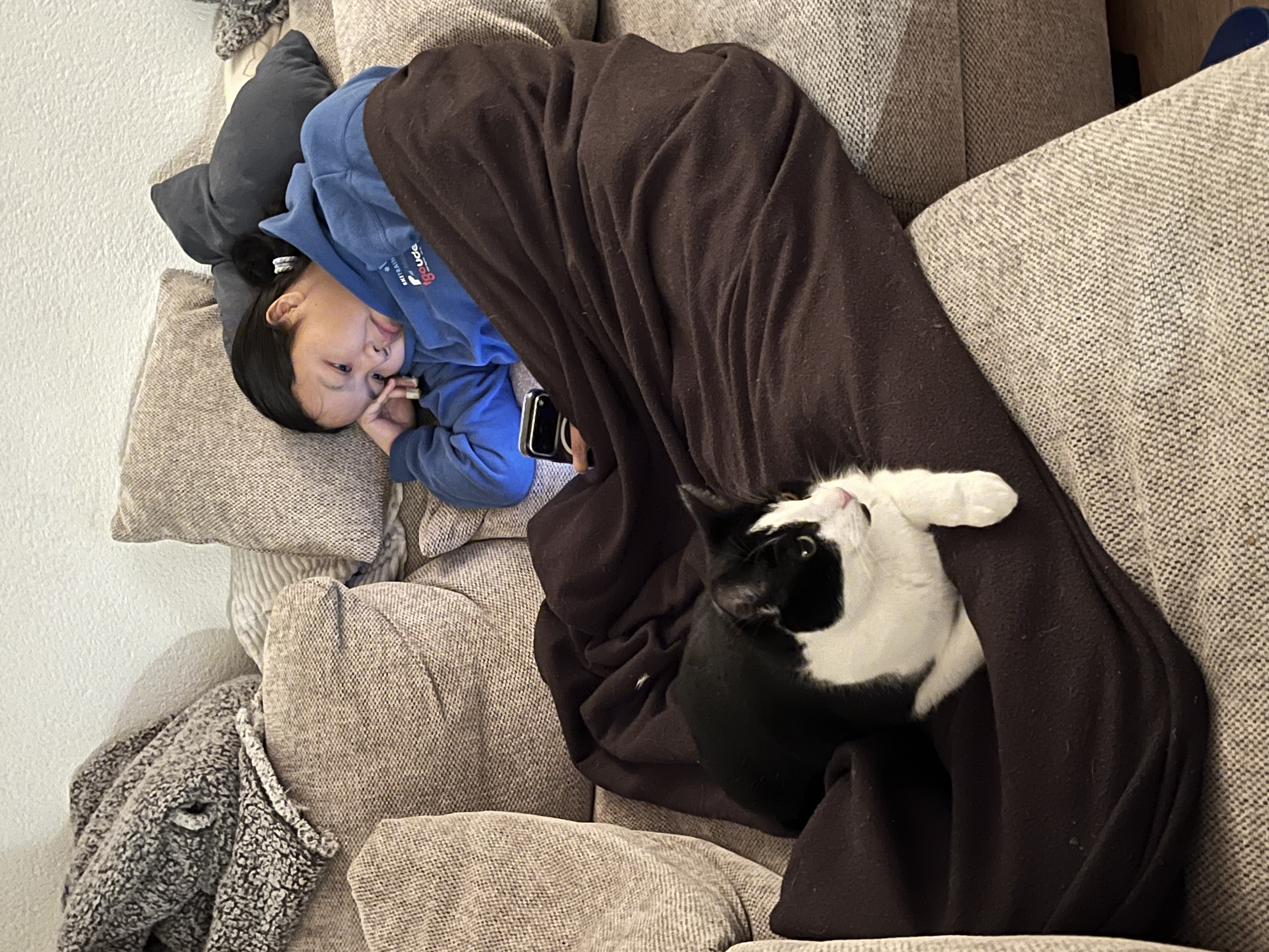 image-12